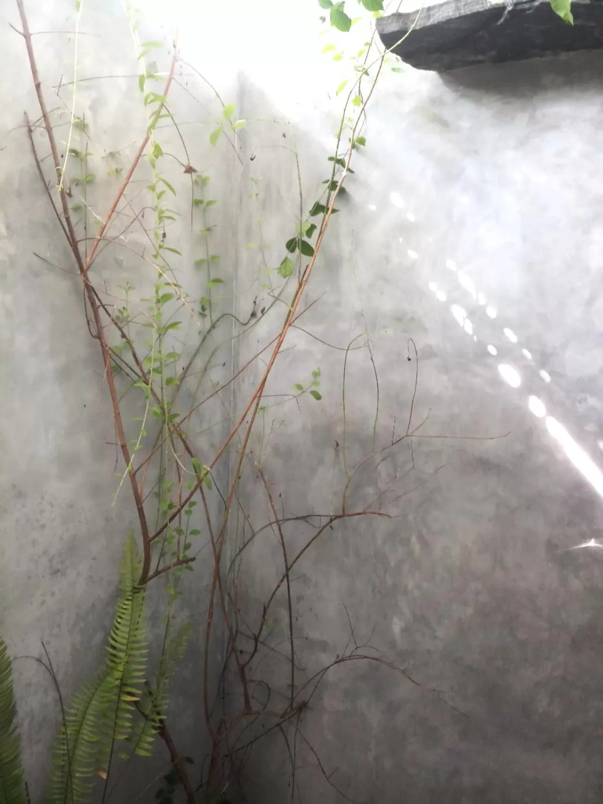 Shower in Weligama Bay Watsila Resort