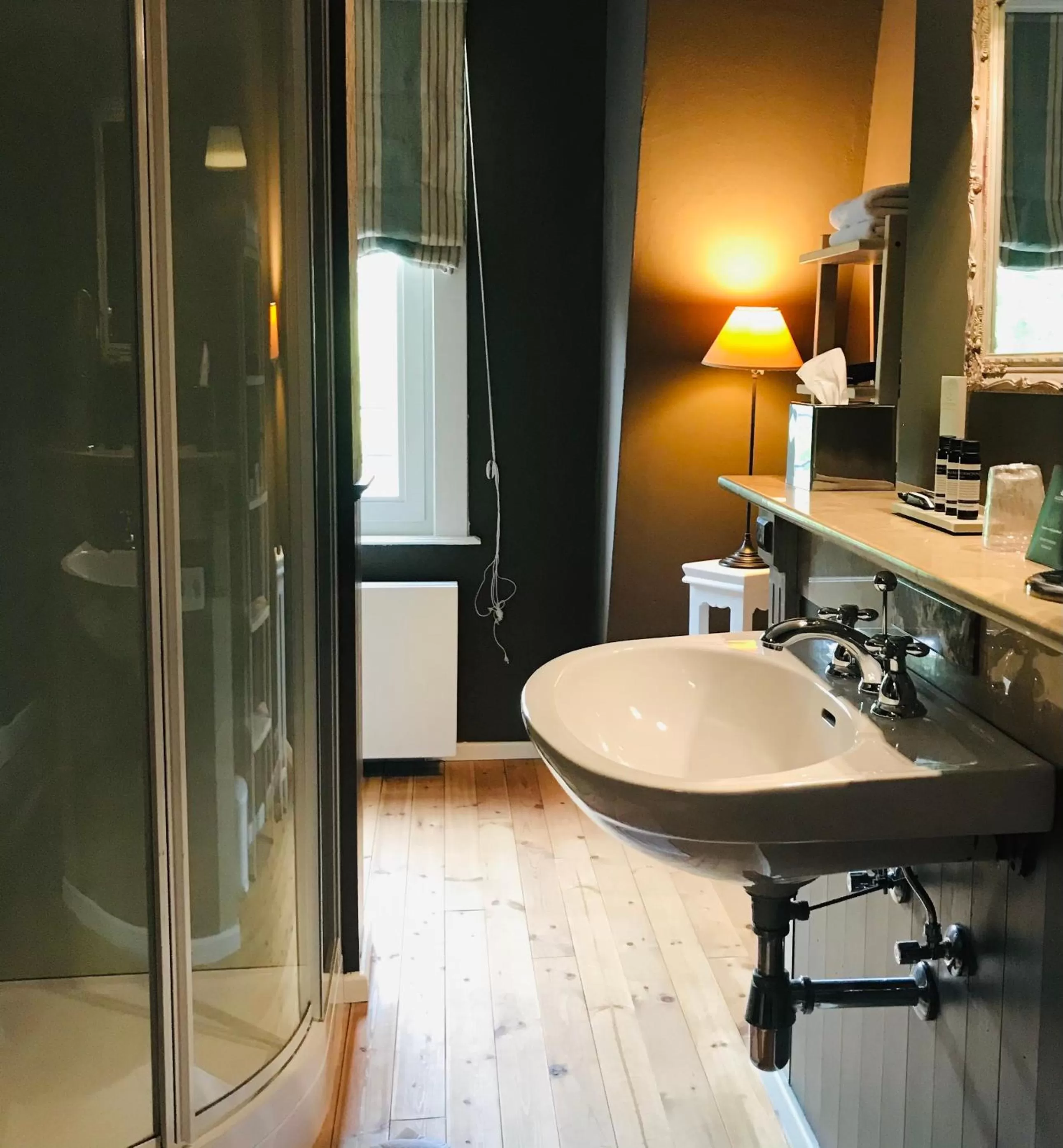 Shower, Bathroom in B&B 't Kasteel & 't Koetshuys