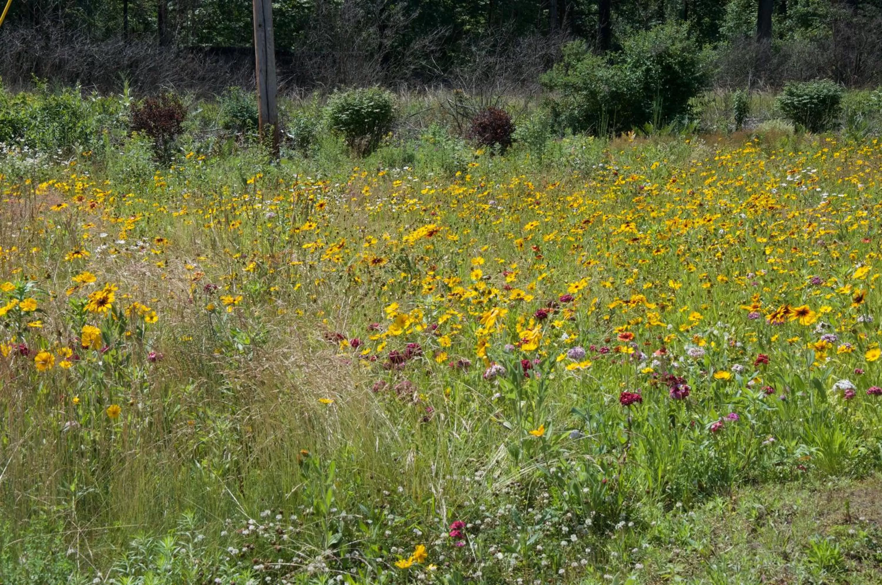 Natural landscape in Sara Glen Motel - Saratoga Springs-Glens Falls