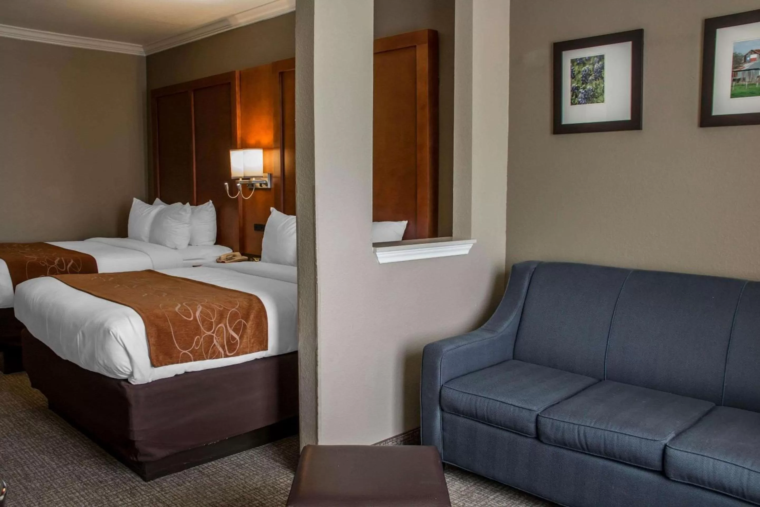 Photo of the whole room, Bed in Comfort Suites New Braunfels - San Antonio Area
