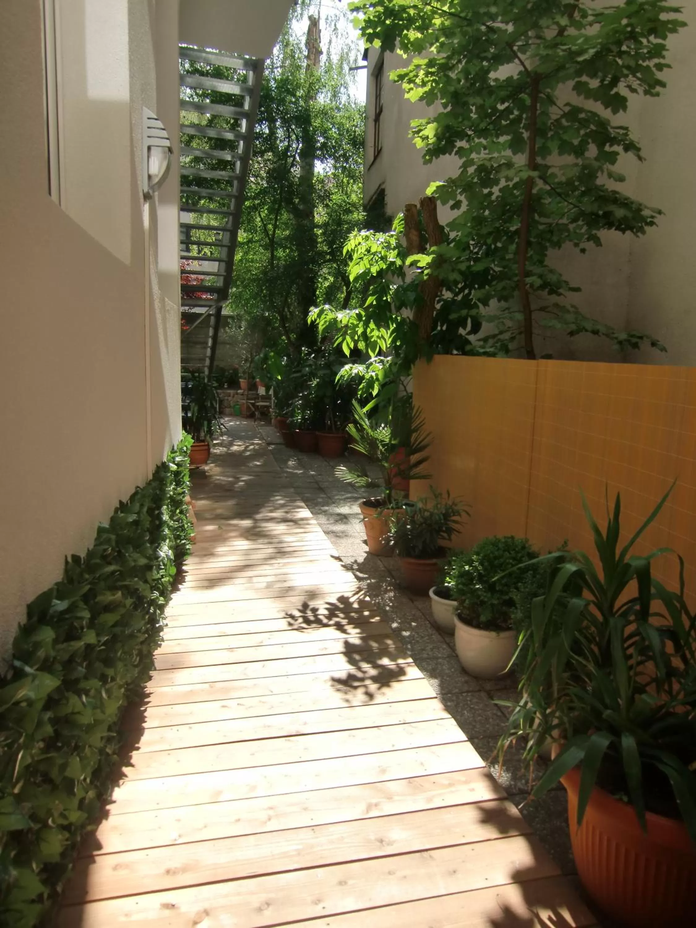 Garden view in Hotel Central