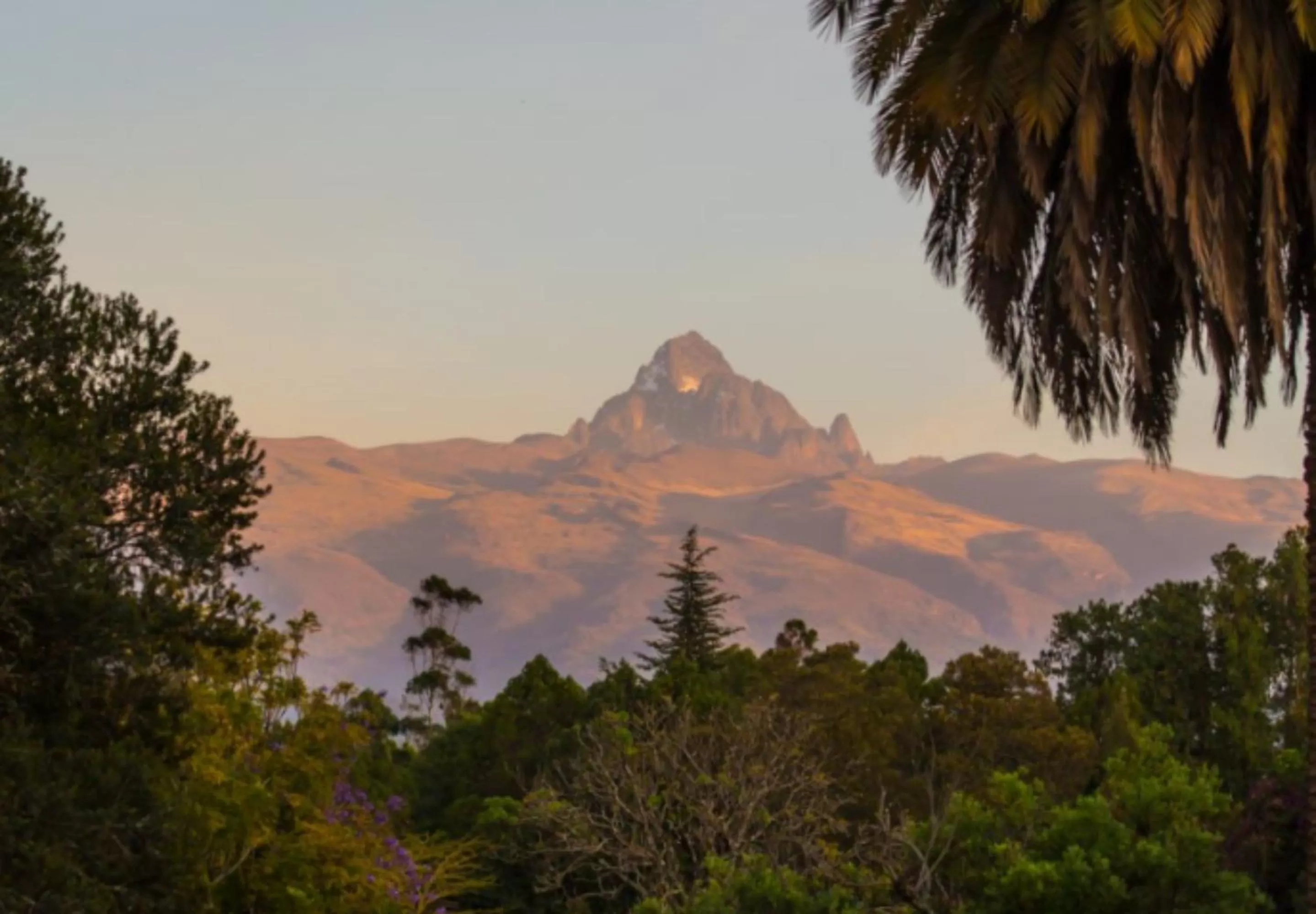 View (from property/room) in Fairmont Mount Kenya Safari Club