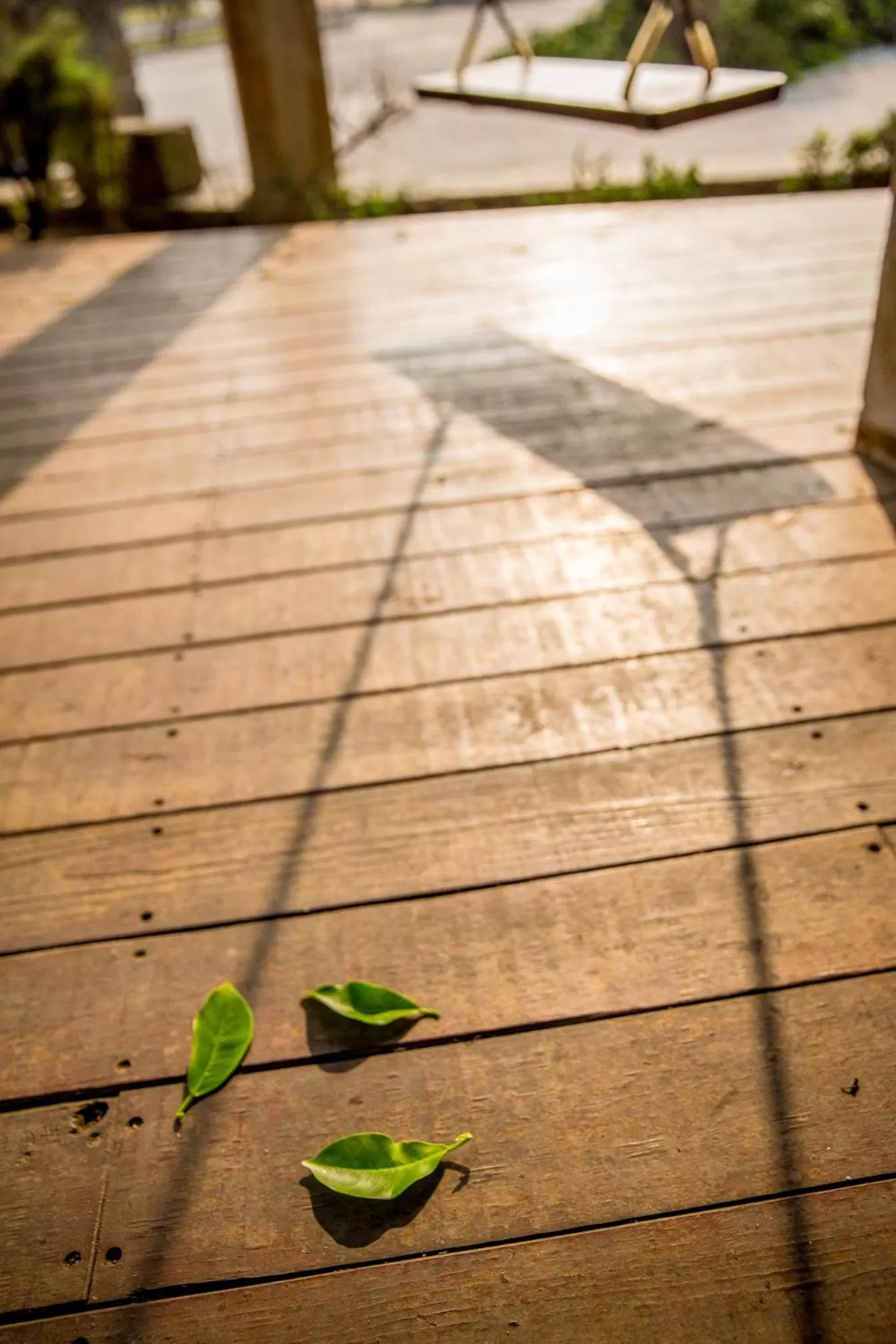 Garden in Beachcastle & Sea View Villa