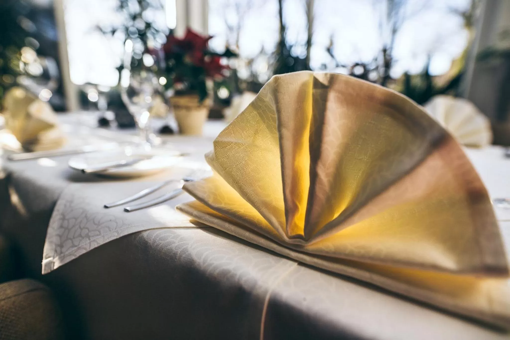 Restaurant/places to eat in Lindenhof Hotel Tepe