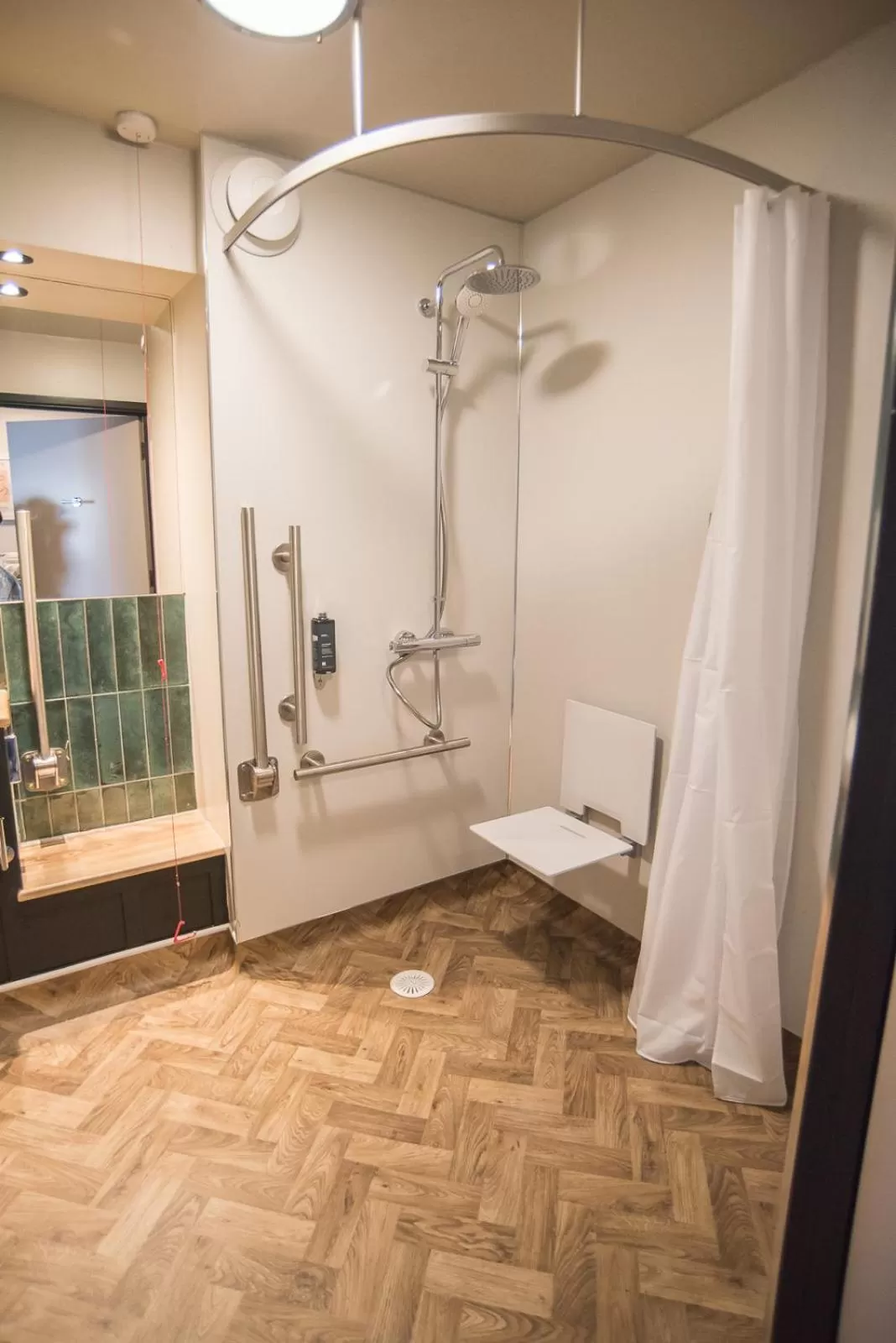 Shower in Cat & Lion Country Pub and Hotel