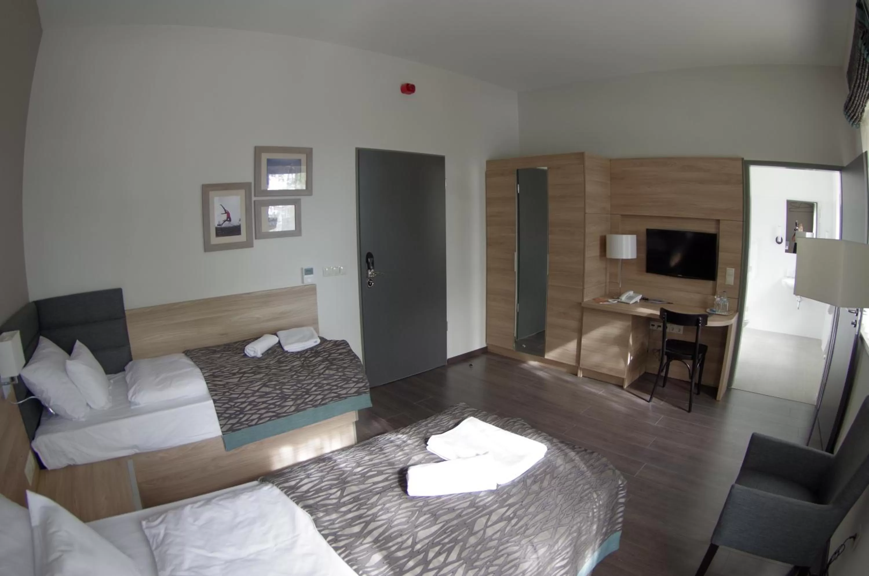 Photo of the whole room, Room Photo in Hotel Therapia