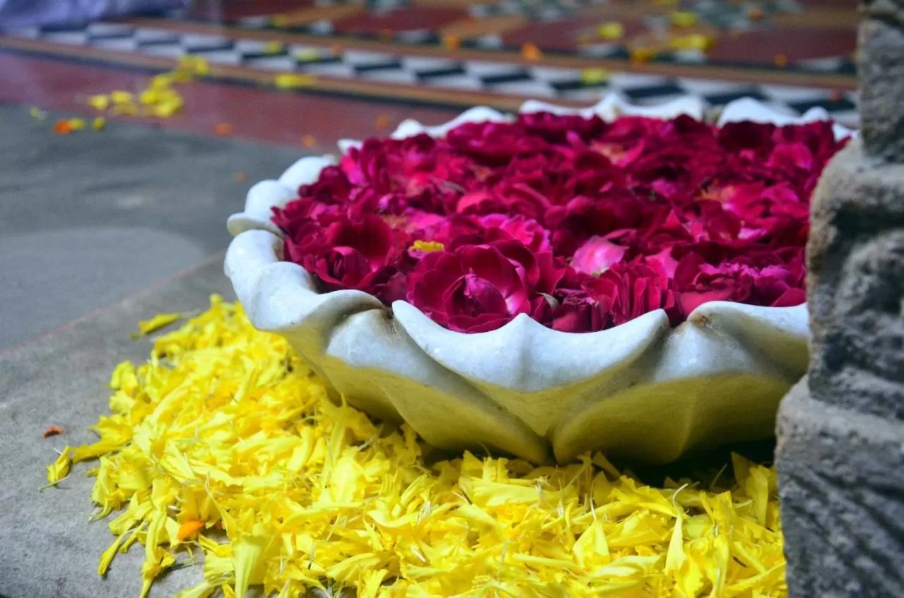 Garden view in Deewanji Ni Haveli