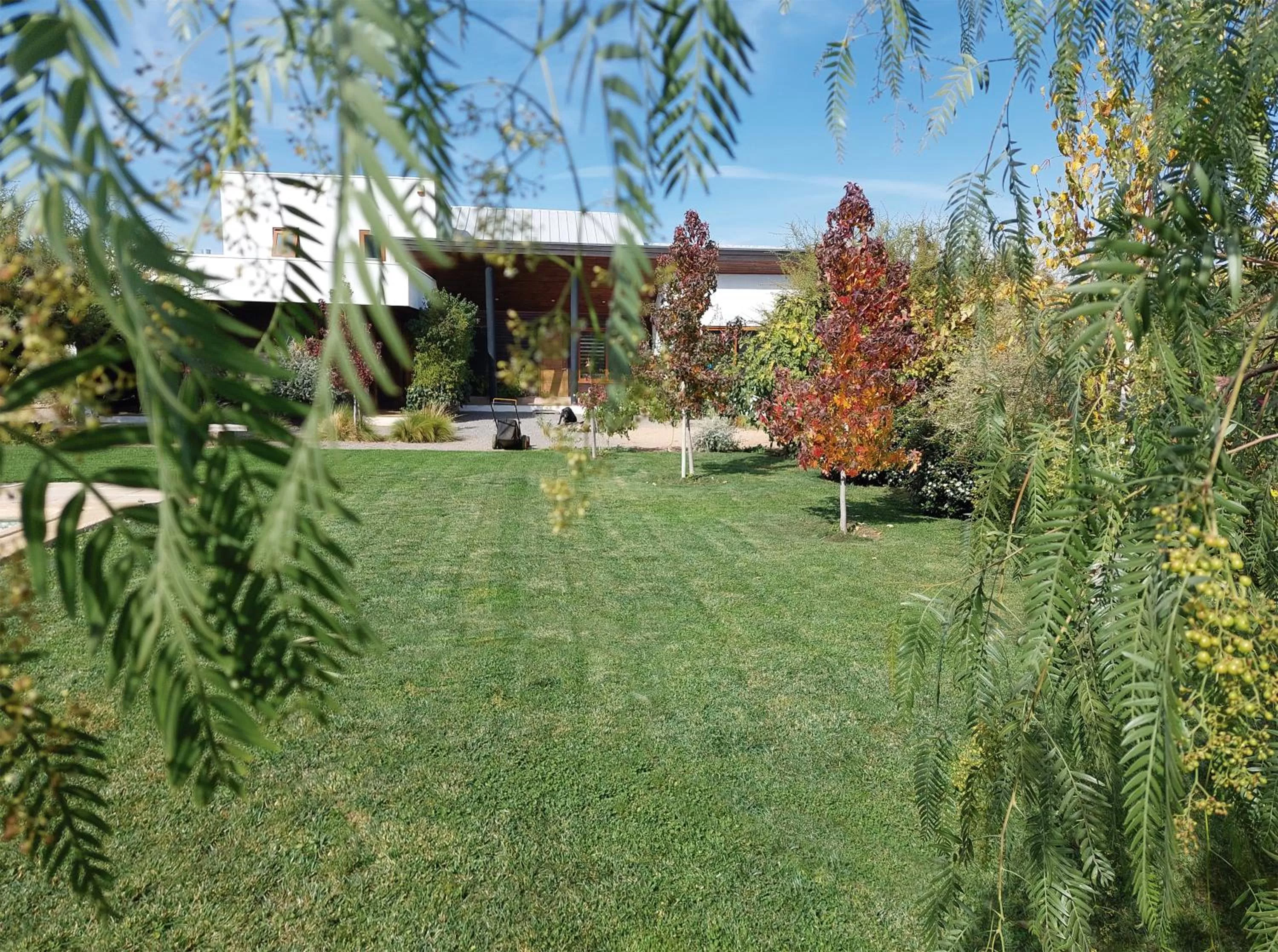 Property building in Callihue Lodge