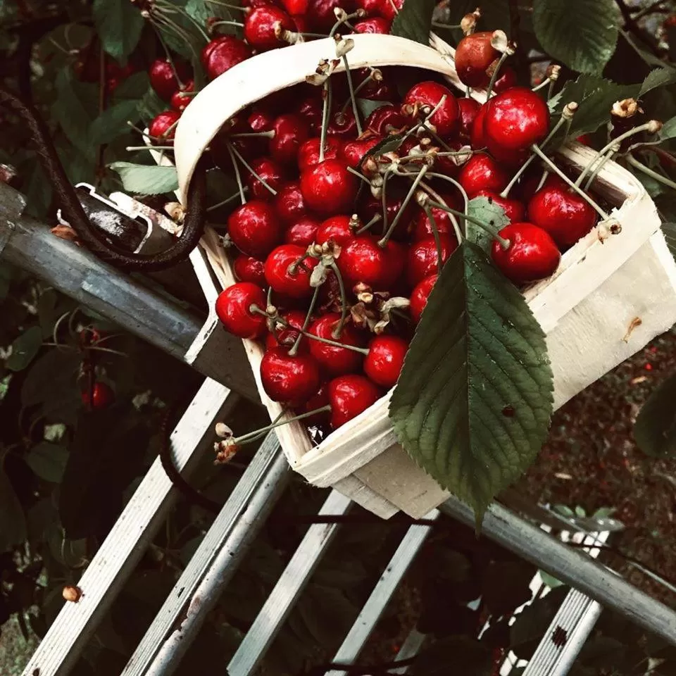 Breakfast in Cà Rossa #GLAMOUR