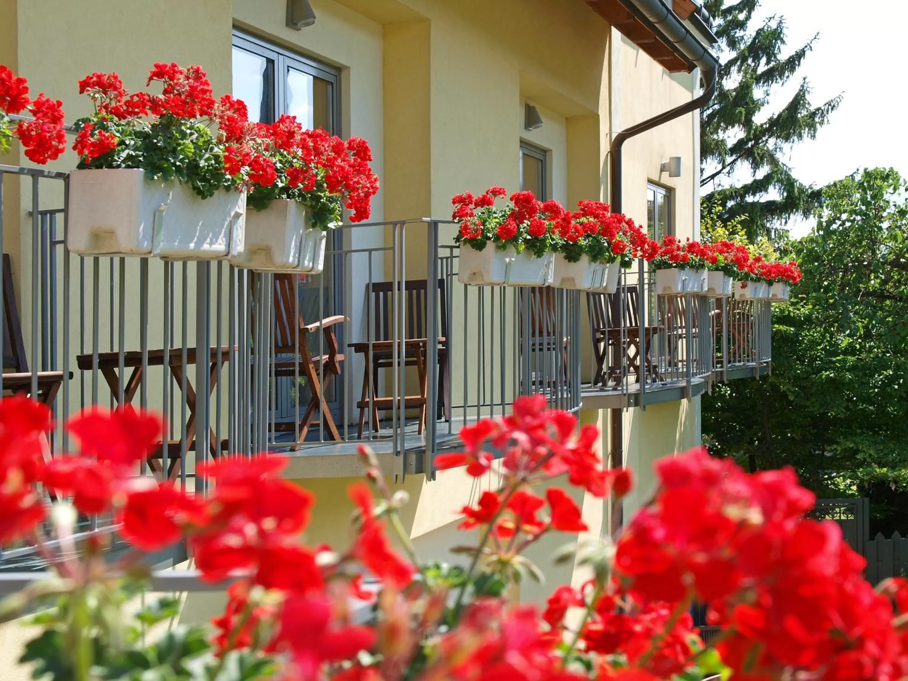 Balcony/Terrace in Hotel Turmhof