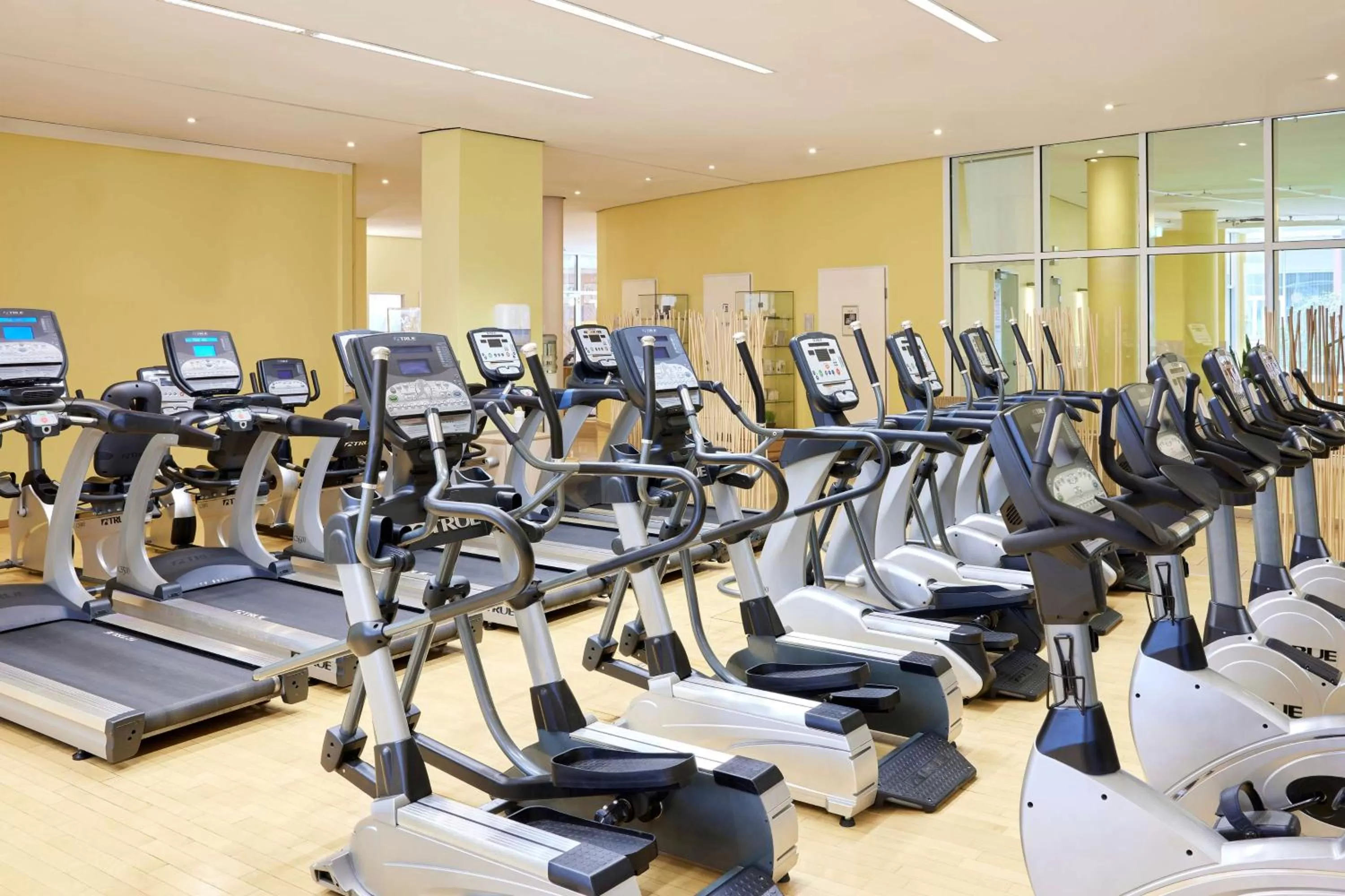 Fitness centre/facilities in Lindner Hotel Cologne Am Dom, part of JdV by Hyatt