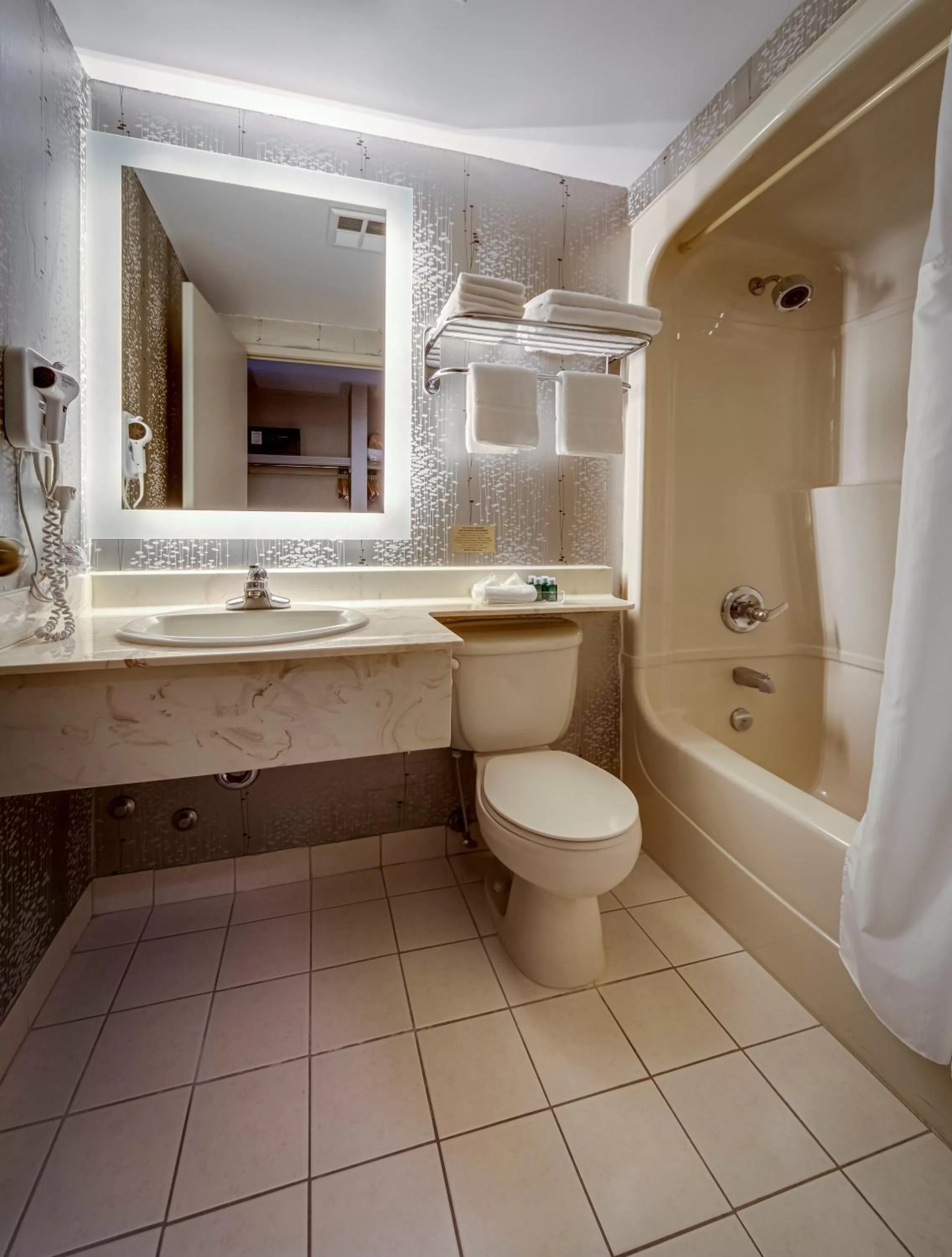 Toilet in Monte Carlo Inn Markham