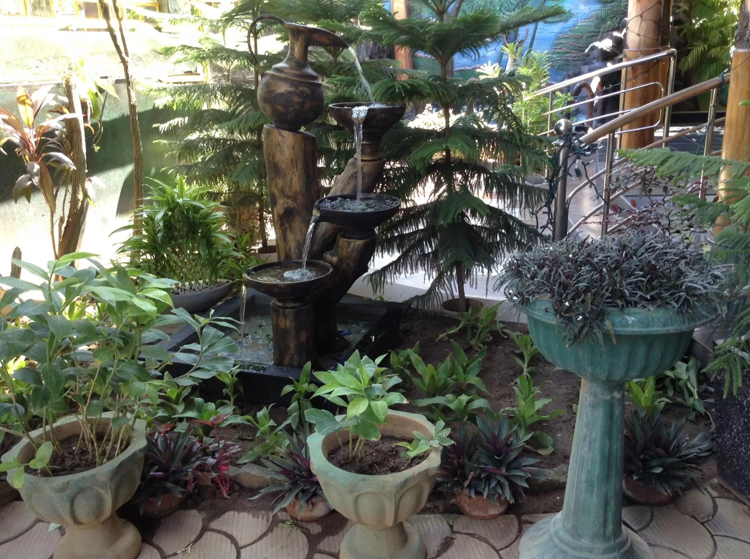 Garden view in Sunshine Hotel