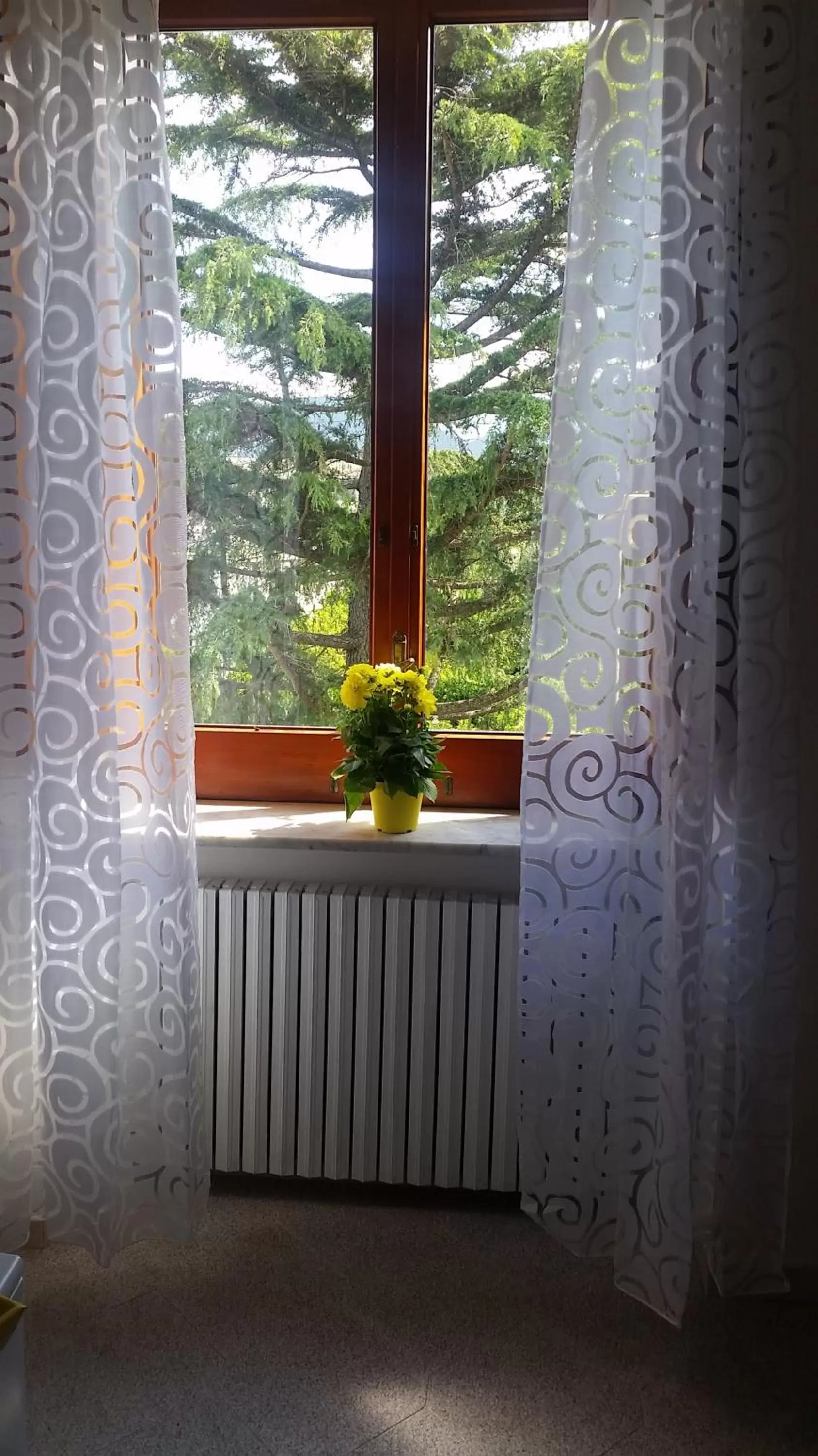 Garden view in Casa Carolina B&B