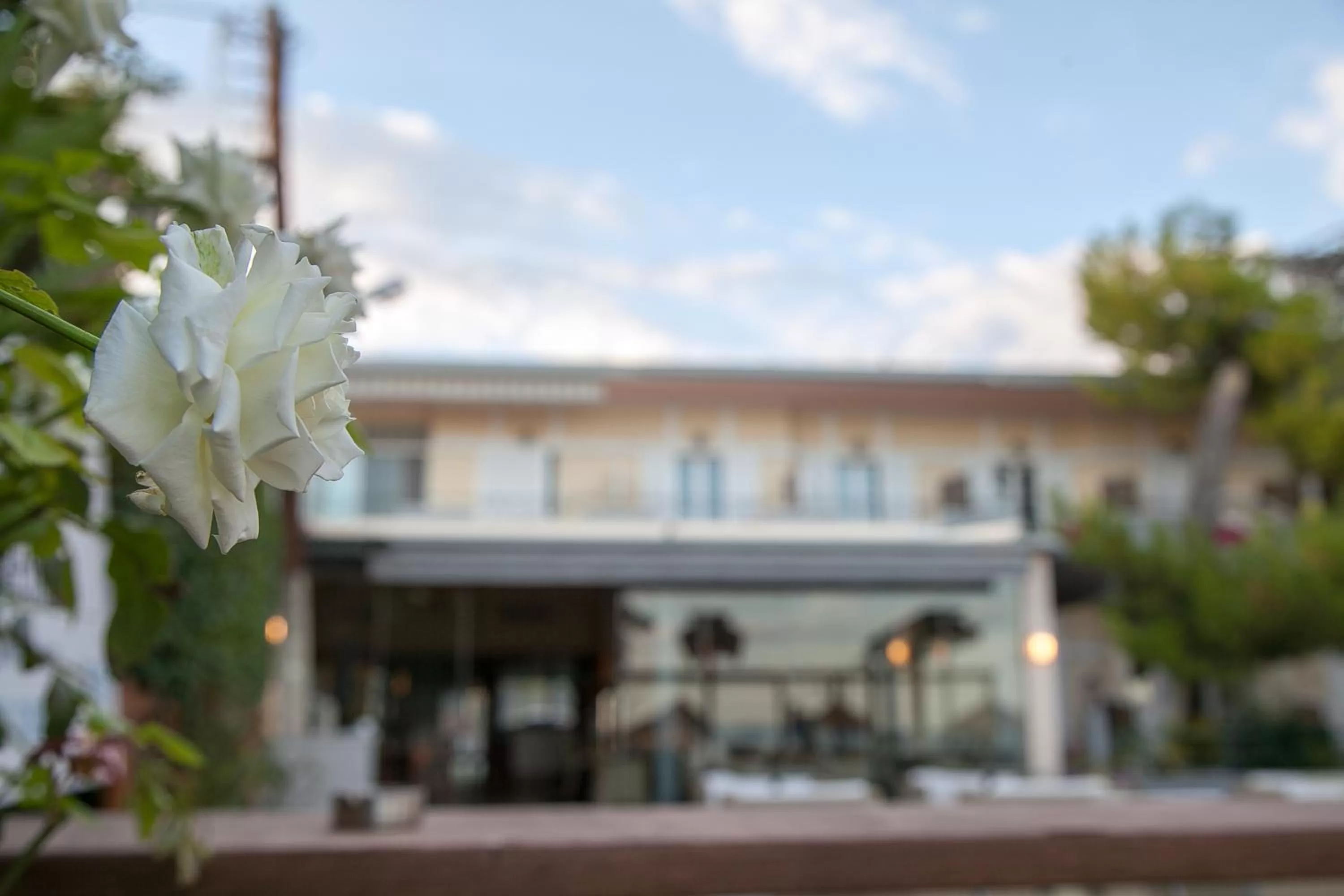 Restaurant/places to eat in Ignatia Hotel