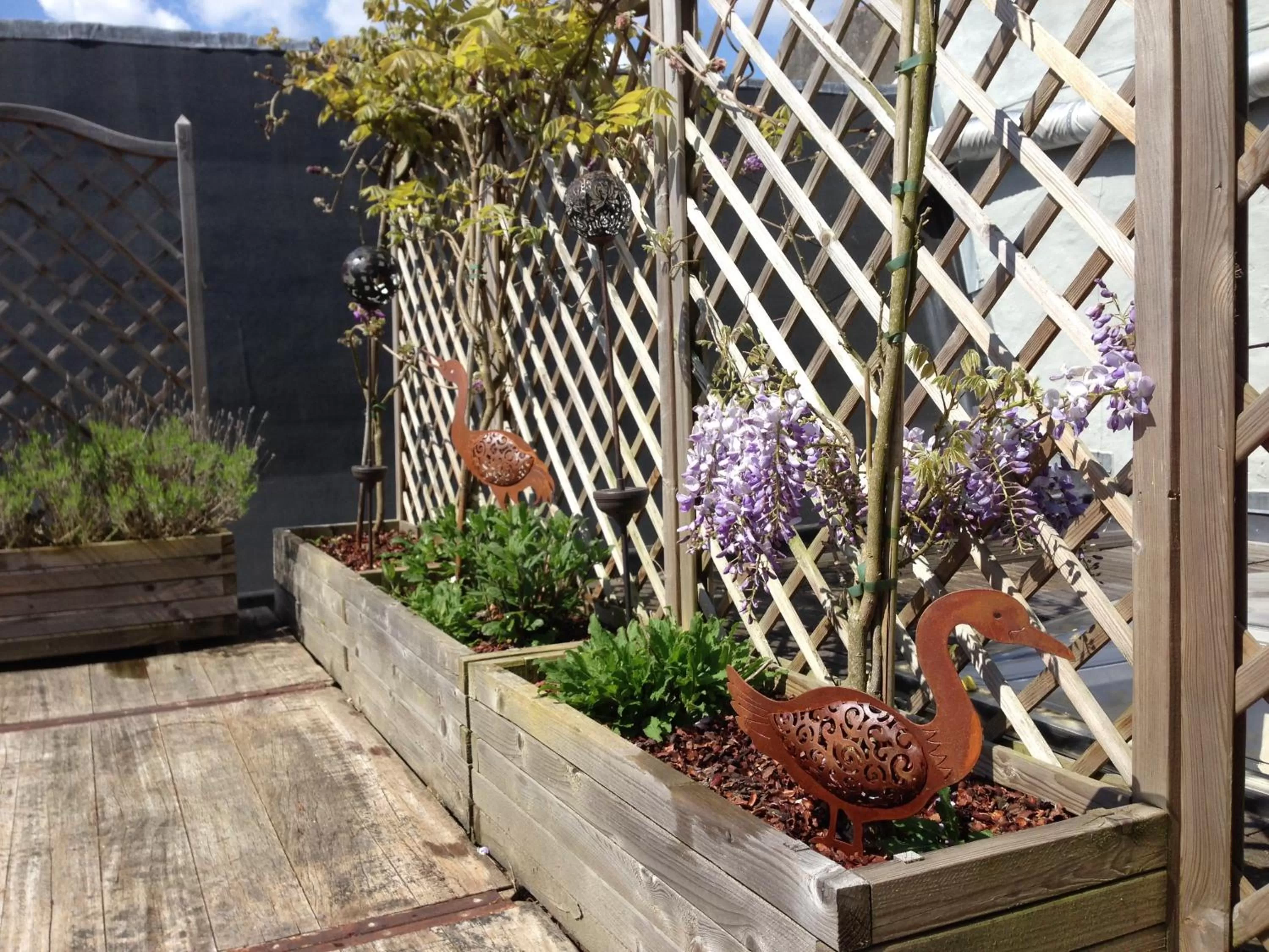 Balcony/Terrace in B&B Family@home66