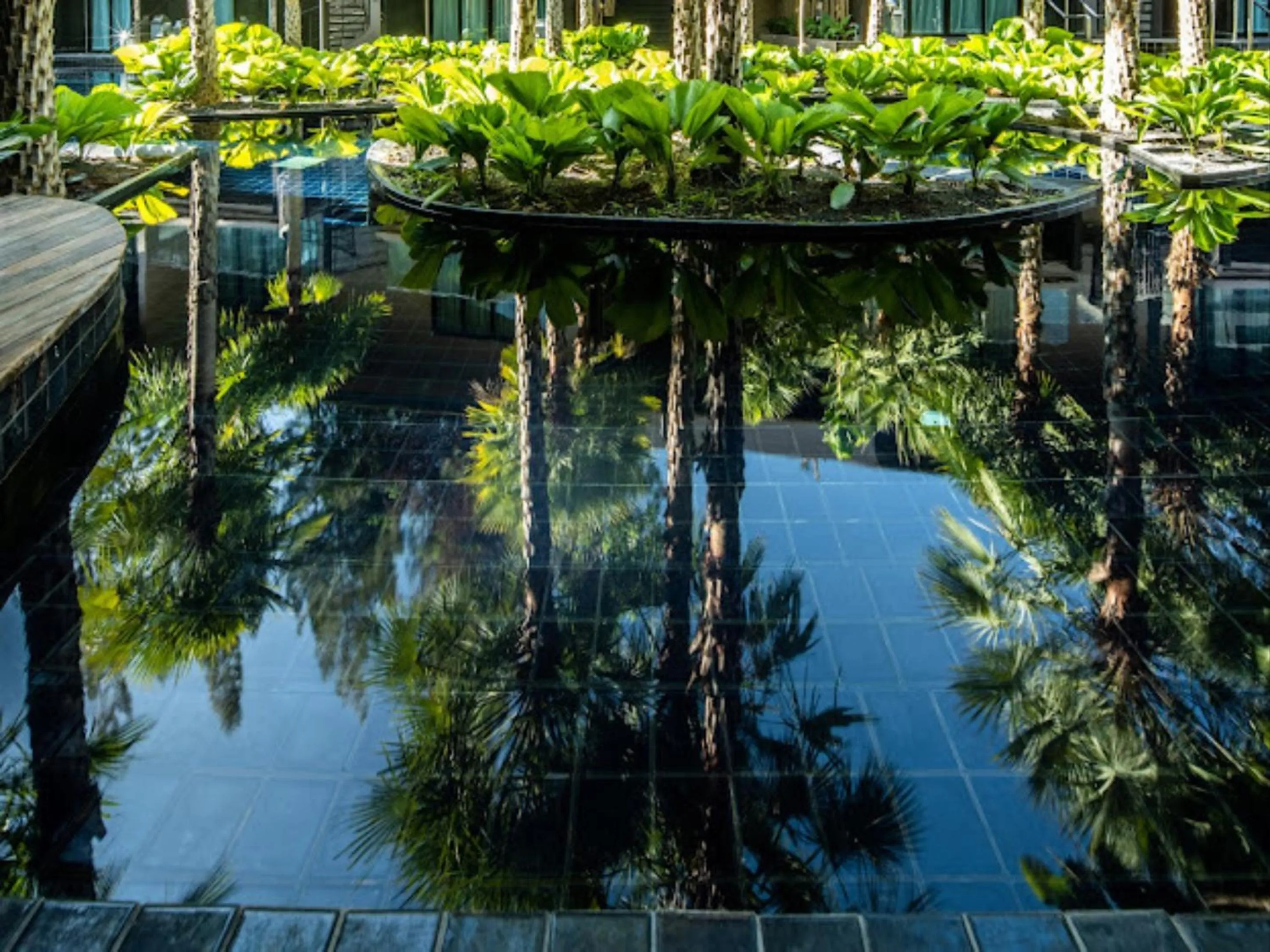 View (from property/room) in Areca Resort and Spa