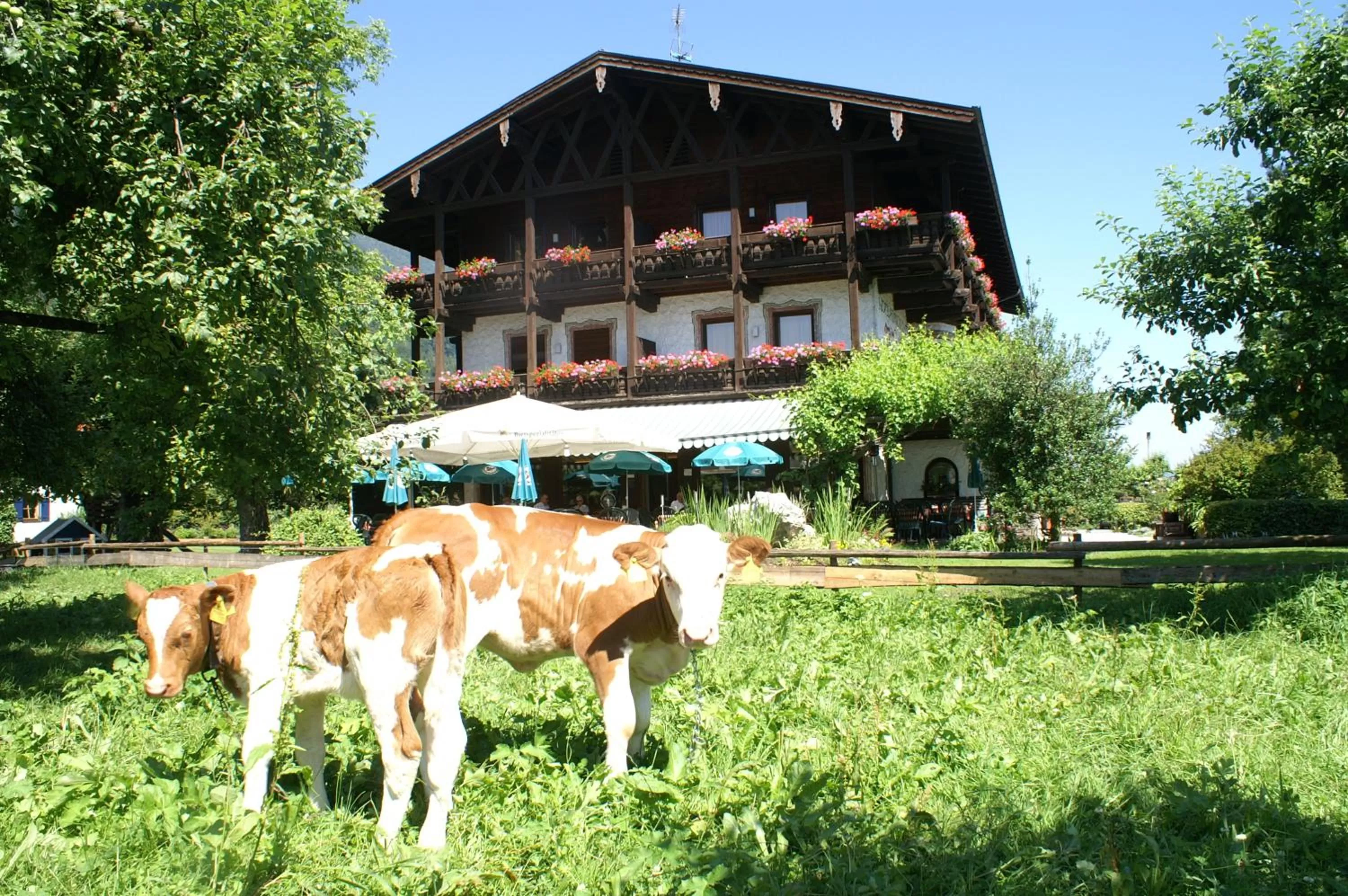 Property Building in Alpenhof Landhotel Restaurant