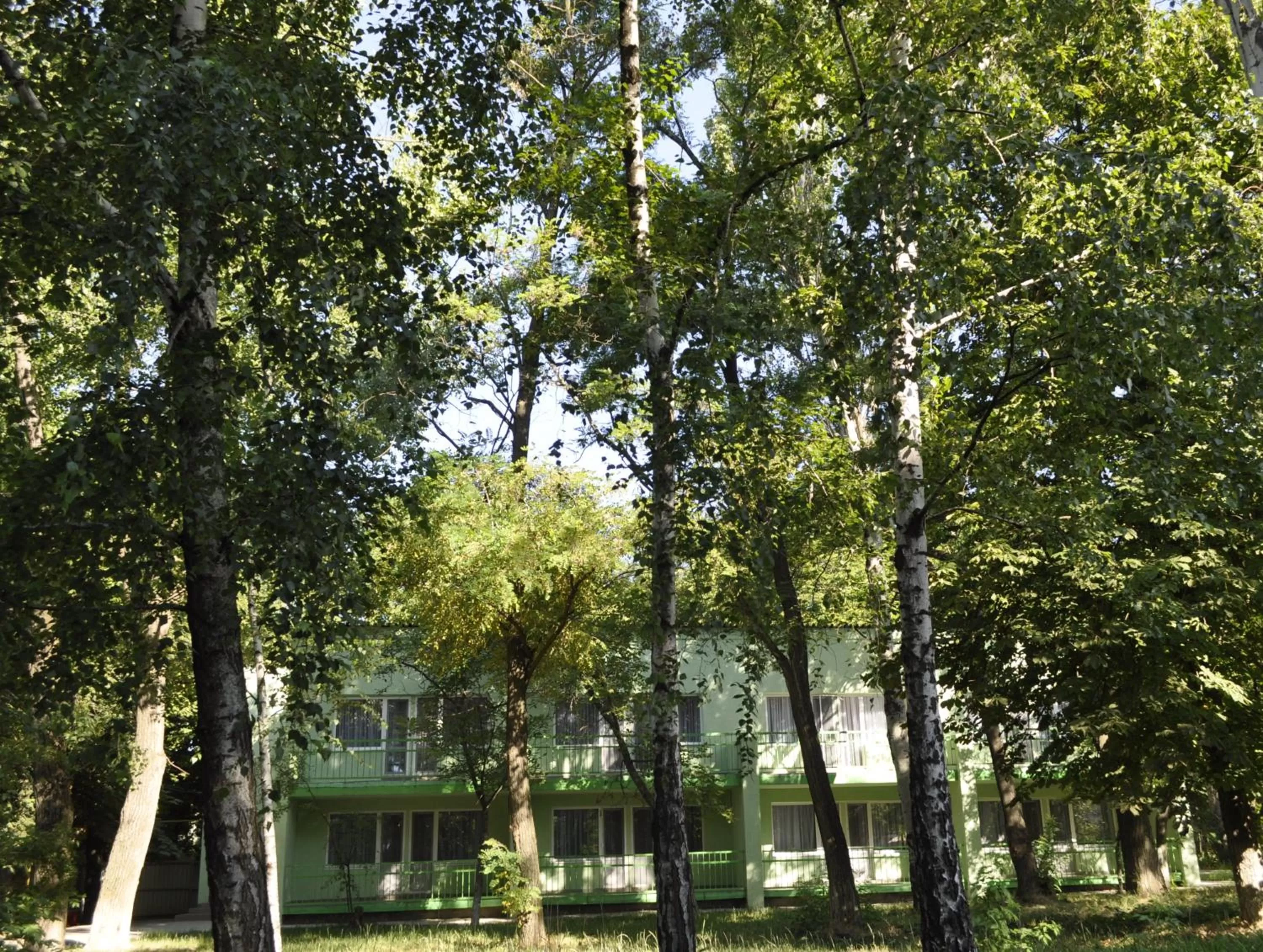 Natural landscape, Garden in Zelenyi Kampus