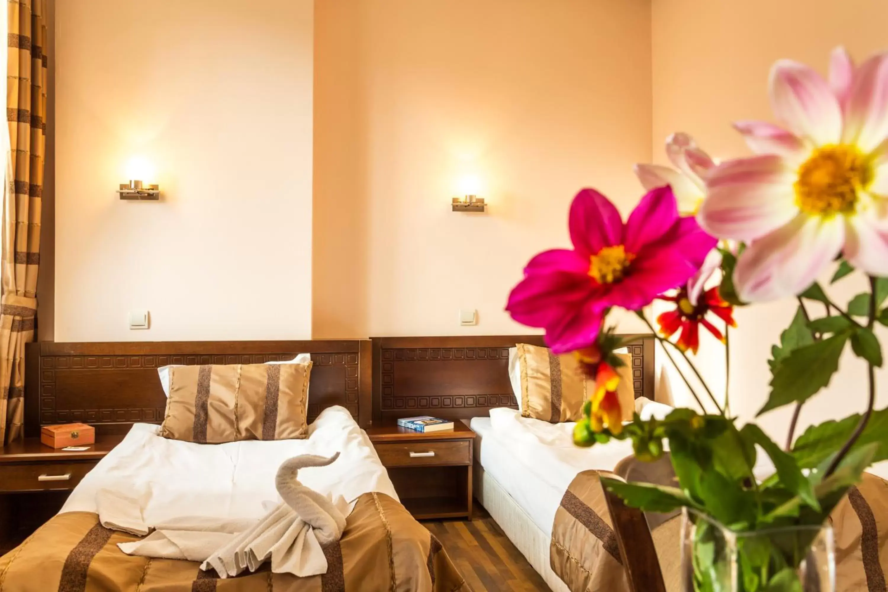 Single Room - single occupancy in Family Hotel Teteven Single Room - single occupancy in Family Hotel Teteven