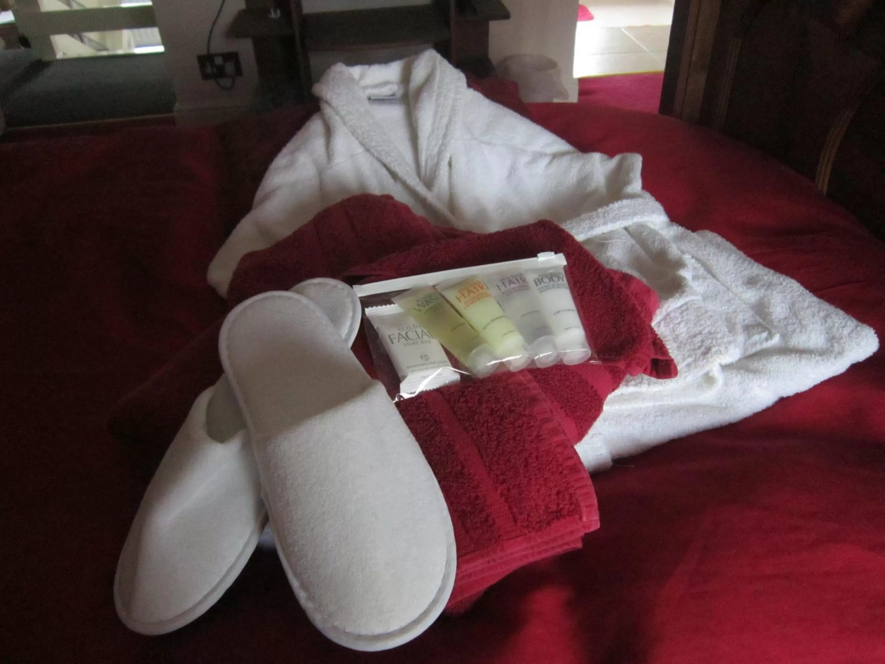 Other in The Sycamore Tree