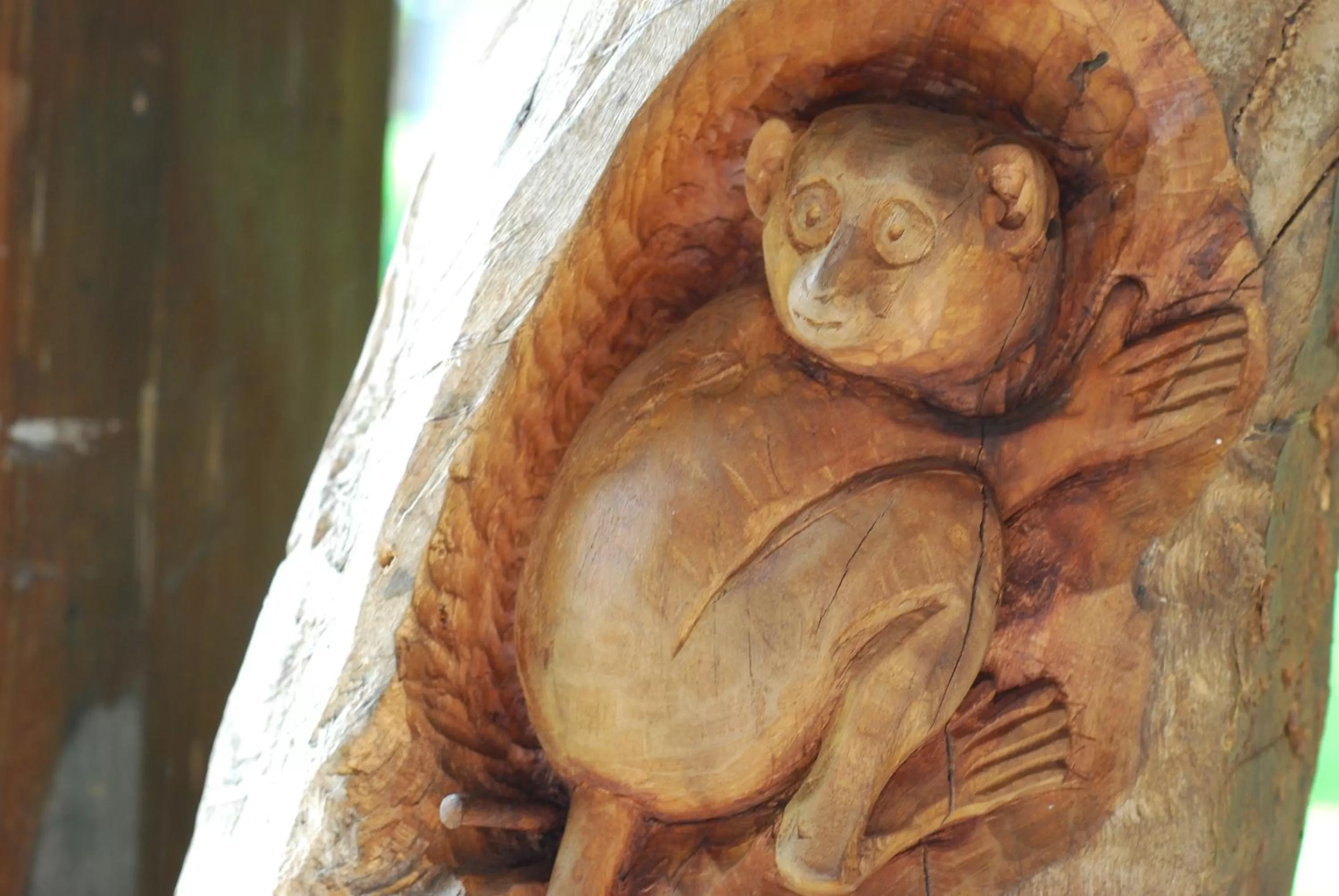 Decorative detail in Amarela Resort