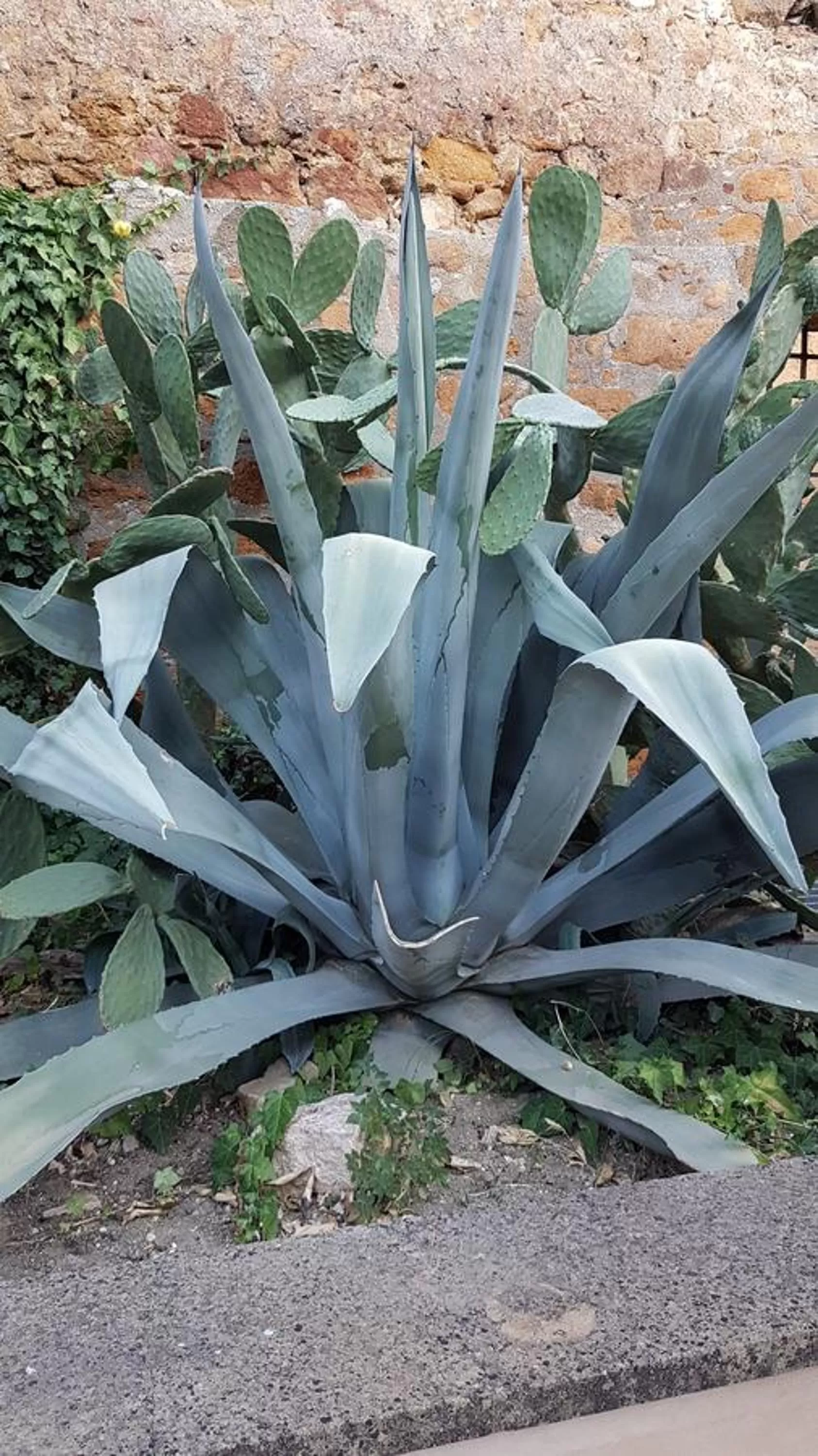 Property building in Il Cortile del Marchese Beccadelli