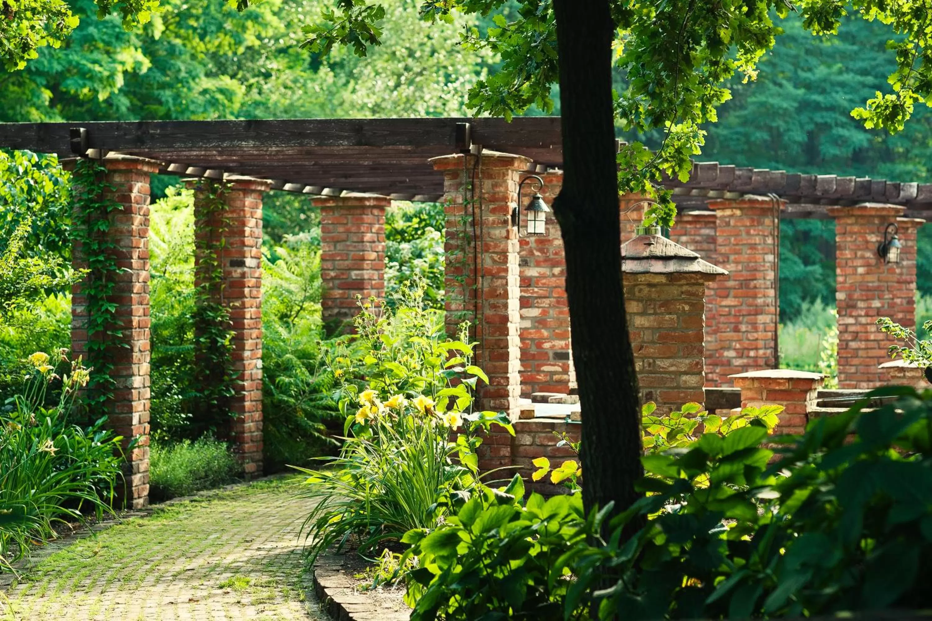 Garden in ForRest Hotel & Restaurant