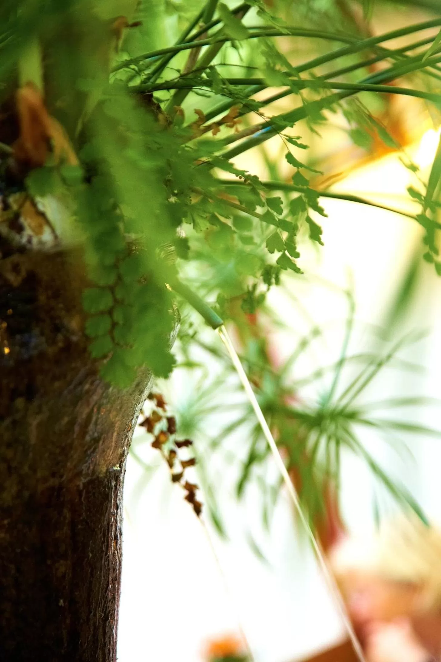 Day in Hotel Emblemático San Agustin