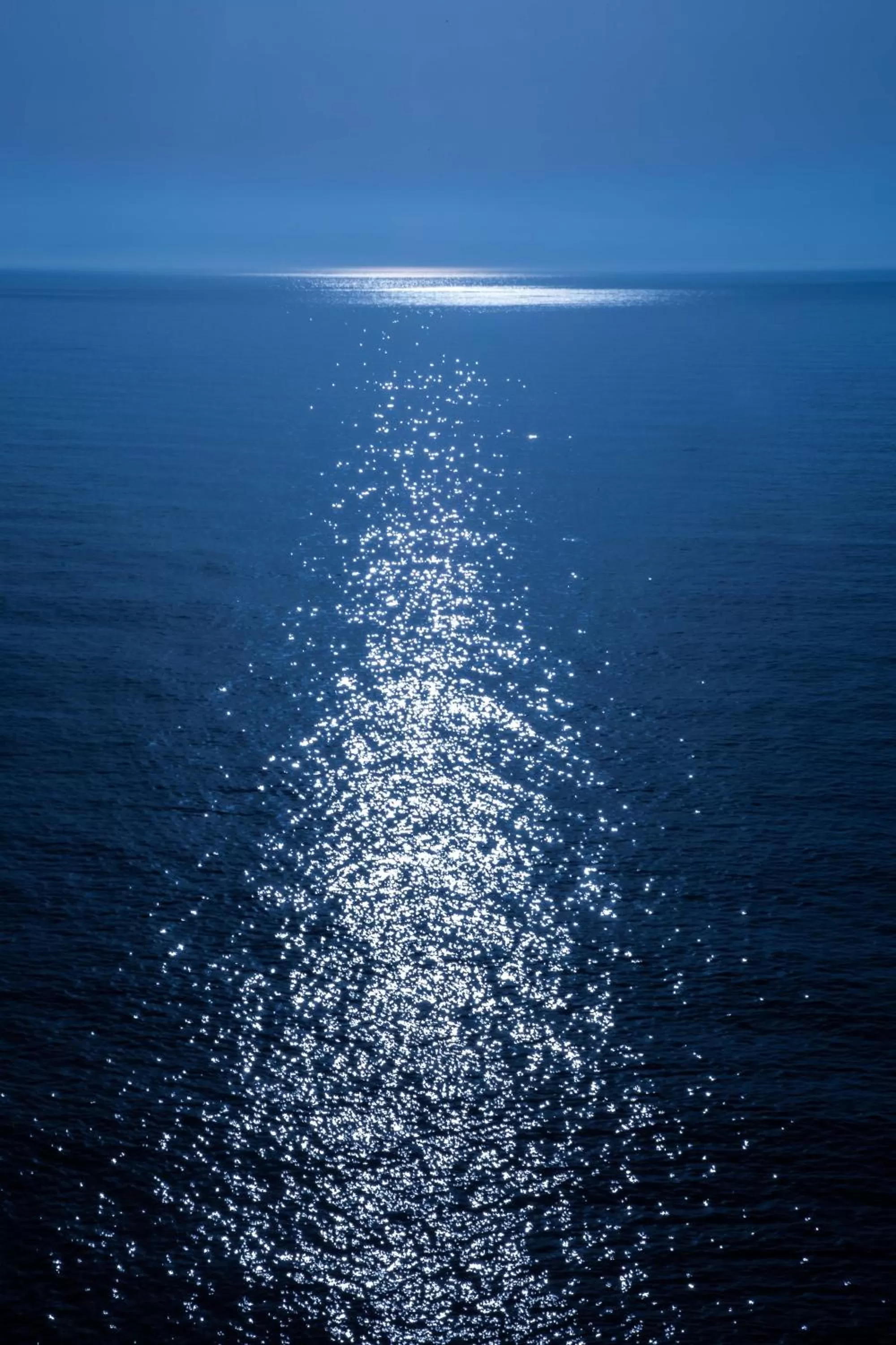 Natural landscape in Hotel Cap Roig & Spa by Brava Hoteles