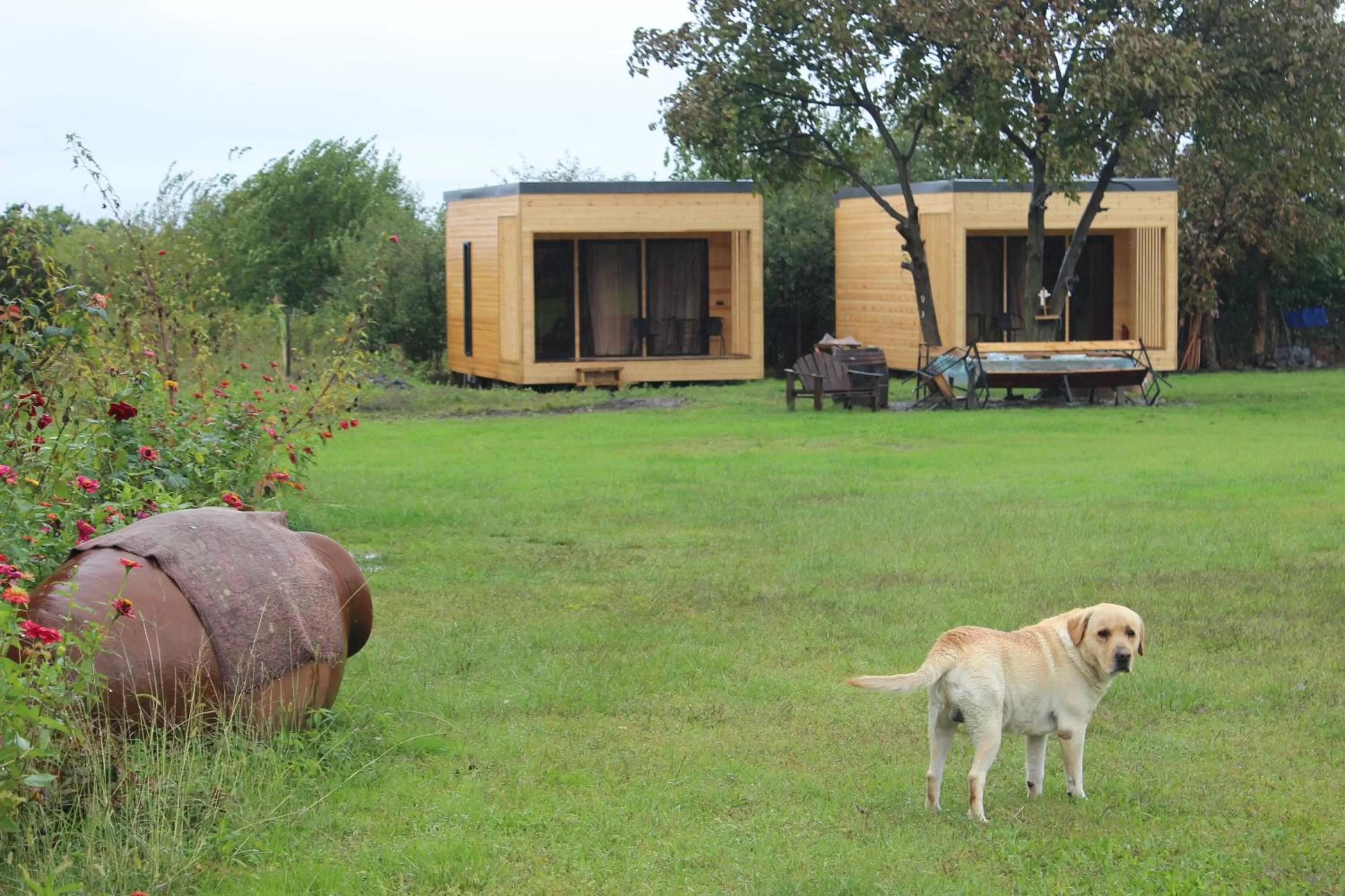 Property building in Chubini Winery & Cabins