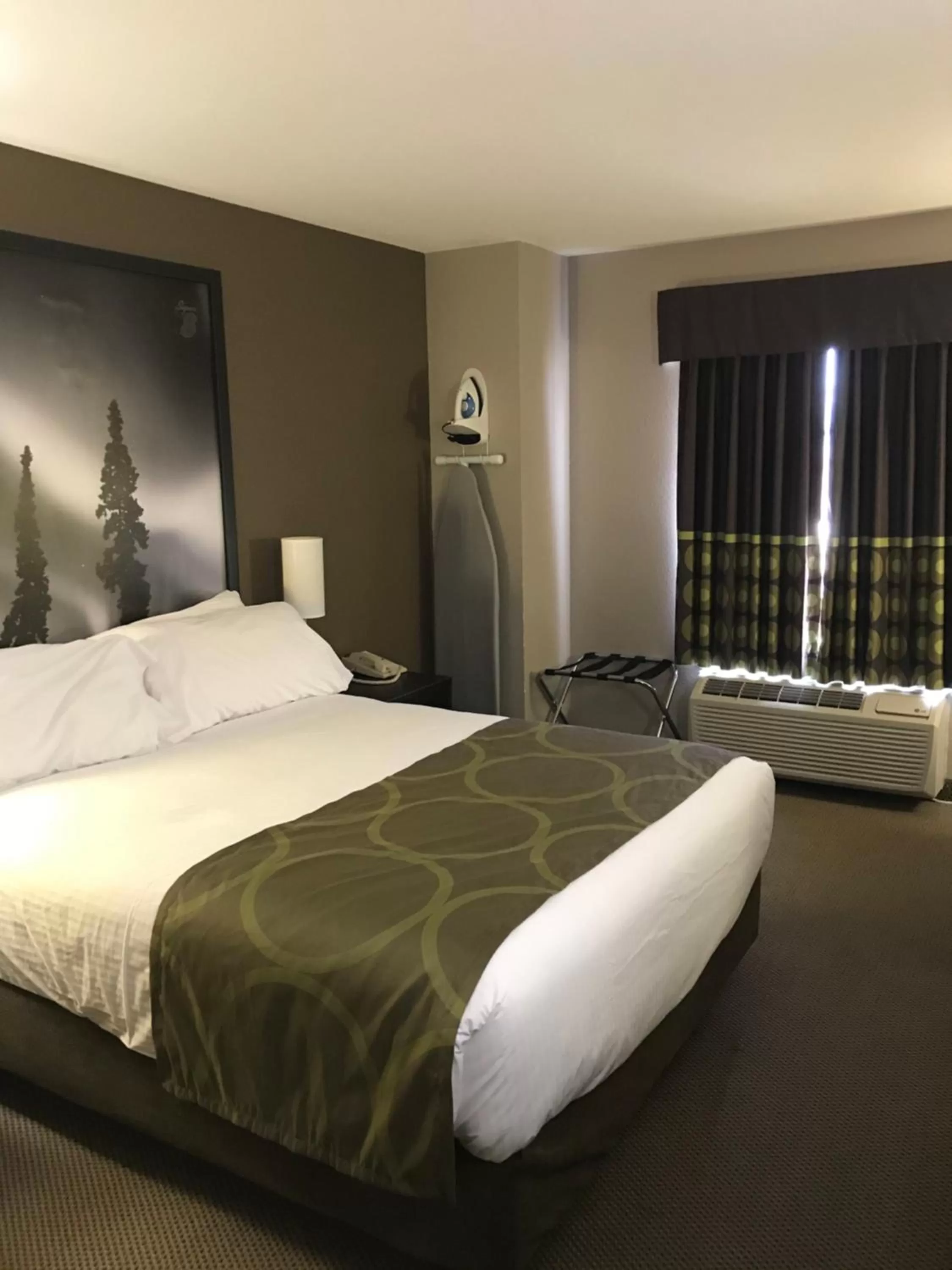 Queen Room - Non-Smoking in Super 8 by Wyndham Prince Albert