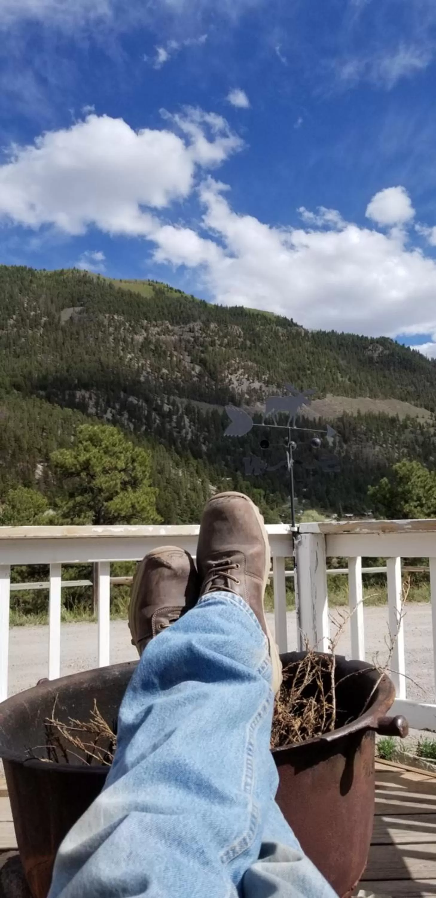 Property building in Alpine Moose Lodge