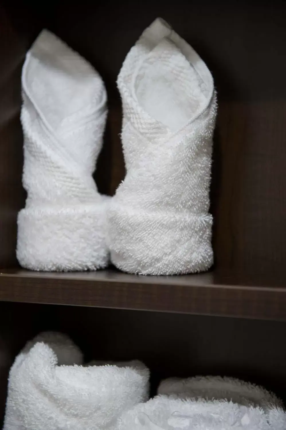 Queen Room with Roll-In Shower - Mobility Accessible/Non-Smoking in Microtel Inn & Suites by Wyndham Portage La Prairie Queen Room with Roll-In Shower - Mobility Accessible/Non-Smoking in Microtel Inn & Suites by Wyndham Portage La Prairie