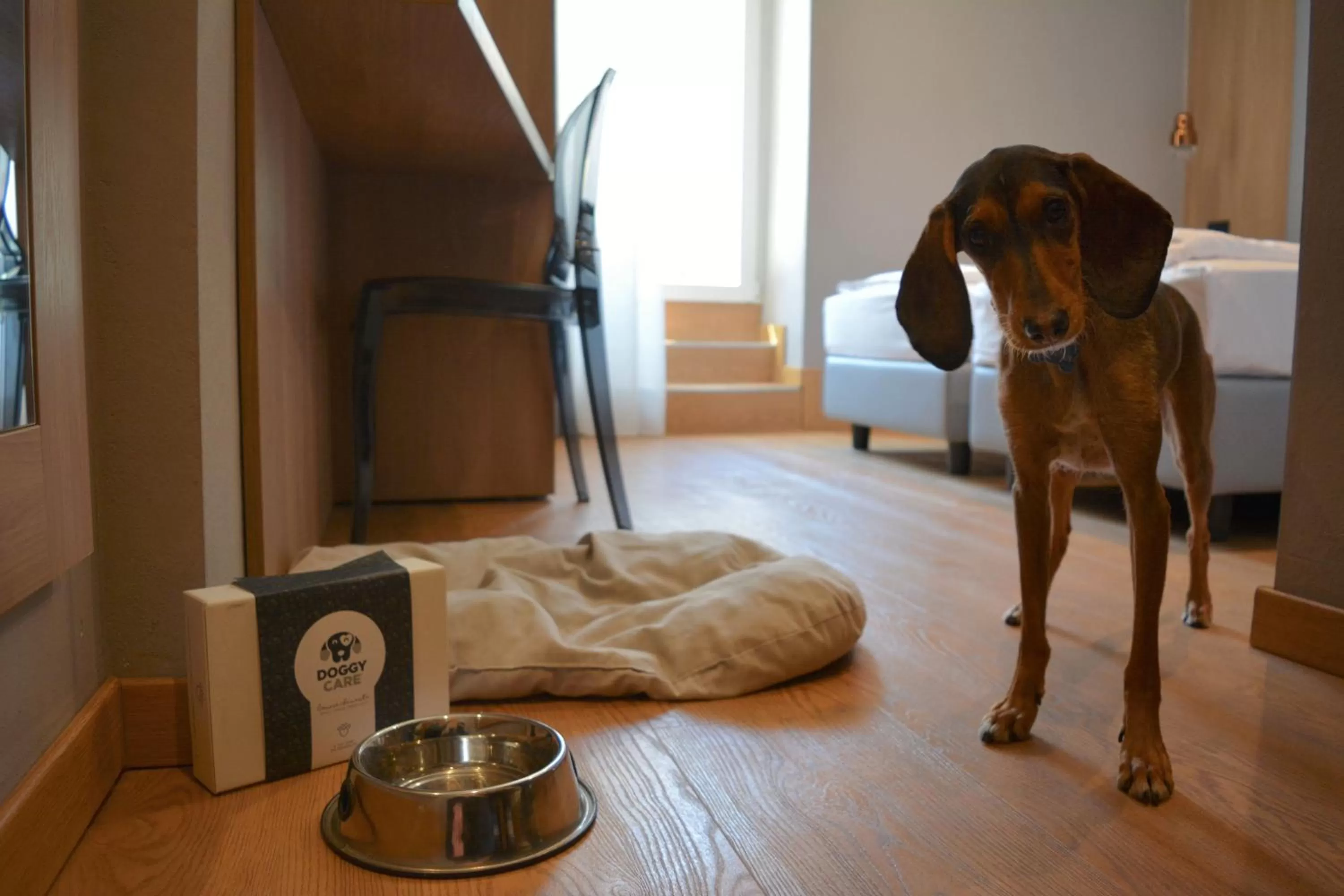 Pets, Bed in Hotel Virgilio