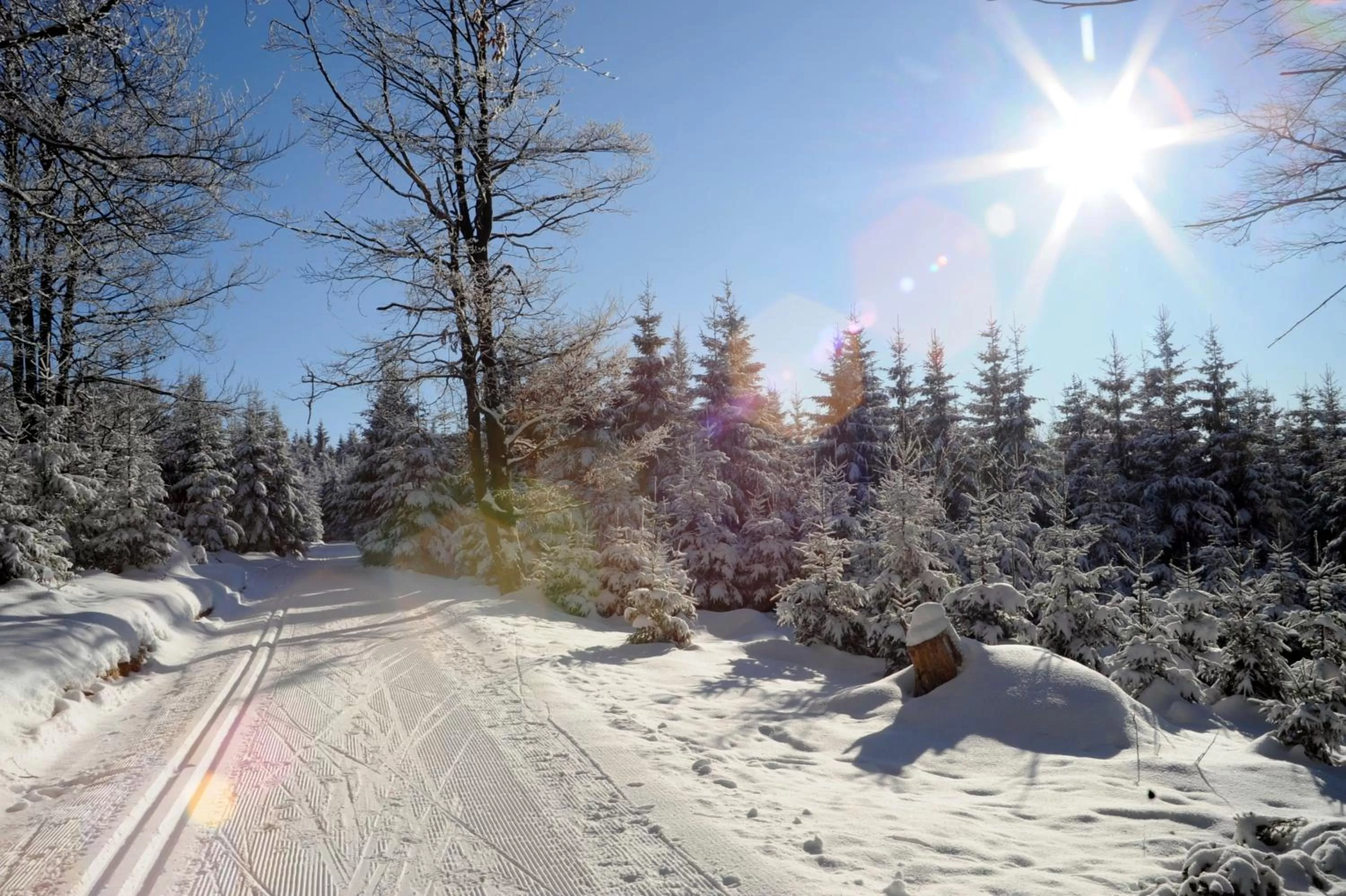 Winter in Rennsteighotel Herrnberger Hof