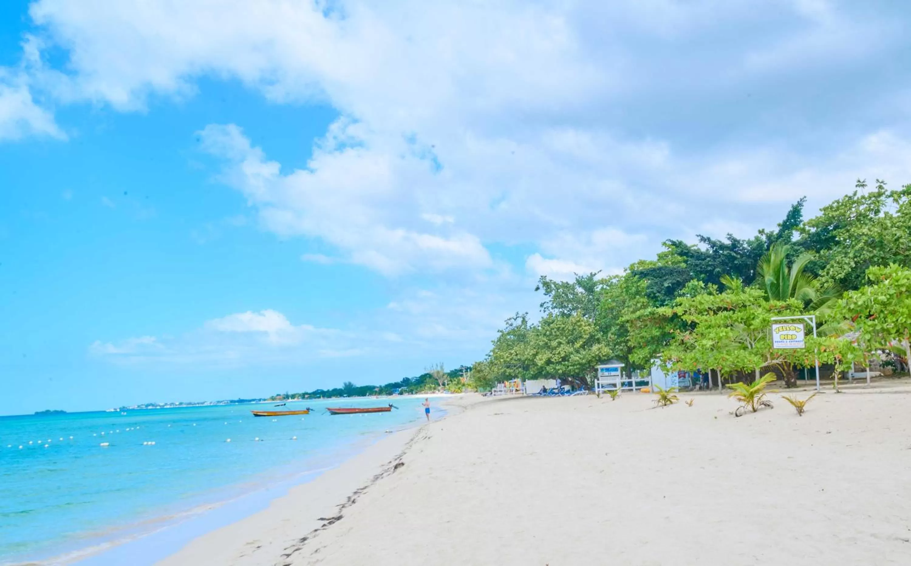 Beach in Yellow Bird Sea
