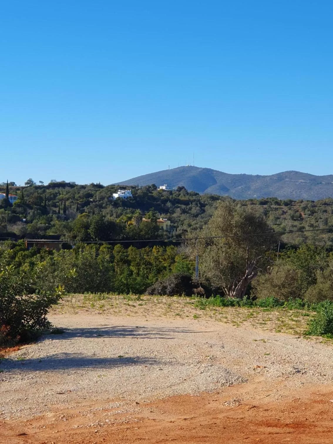 Natural landscape in Suites Sunny hill