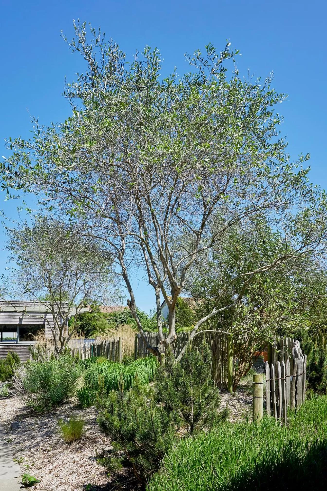 La Cremaillere Hôtel-Restaurant