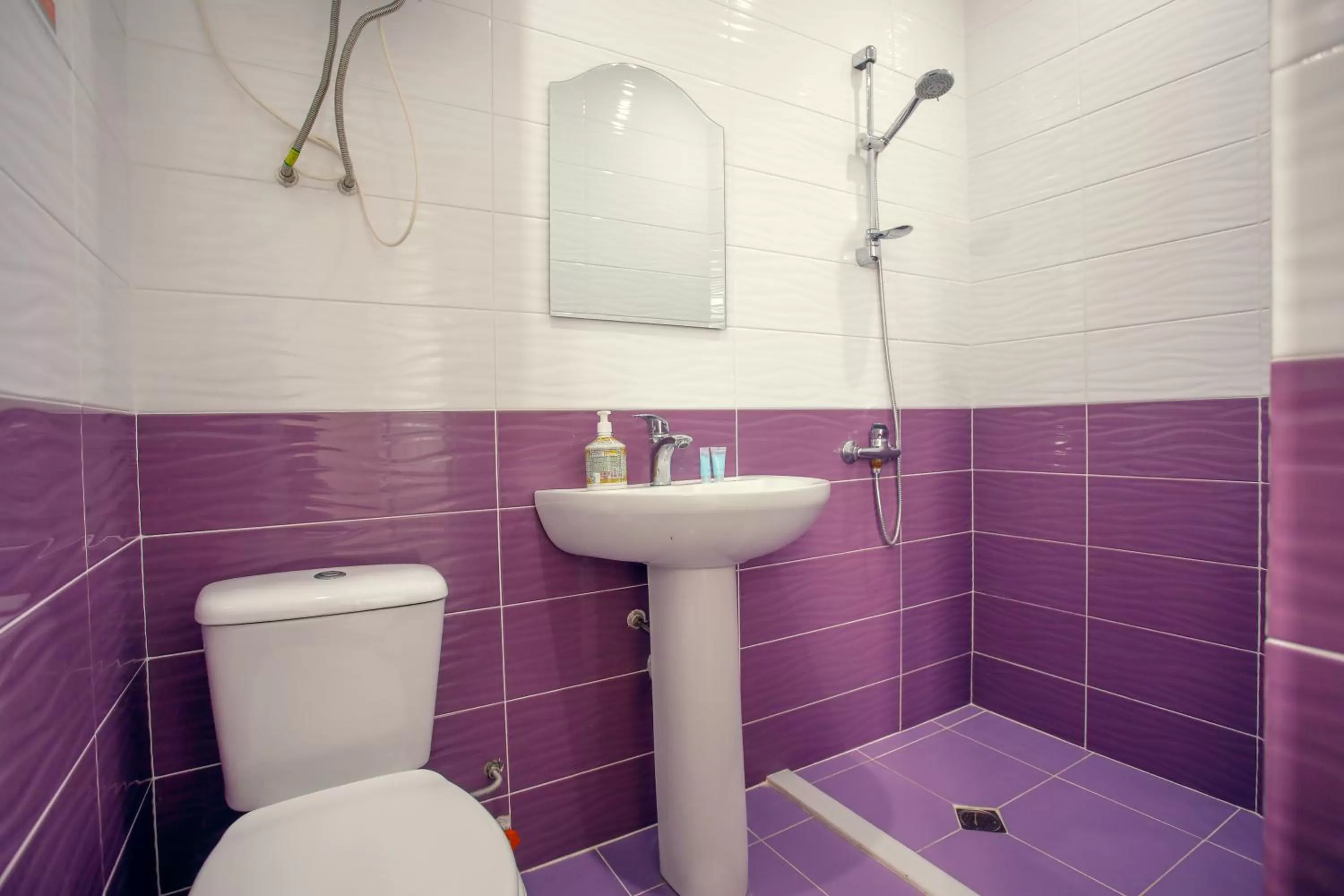 Bathroom in Hotel Paradise Road