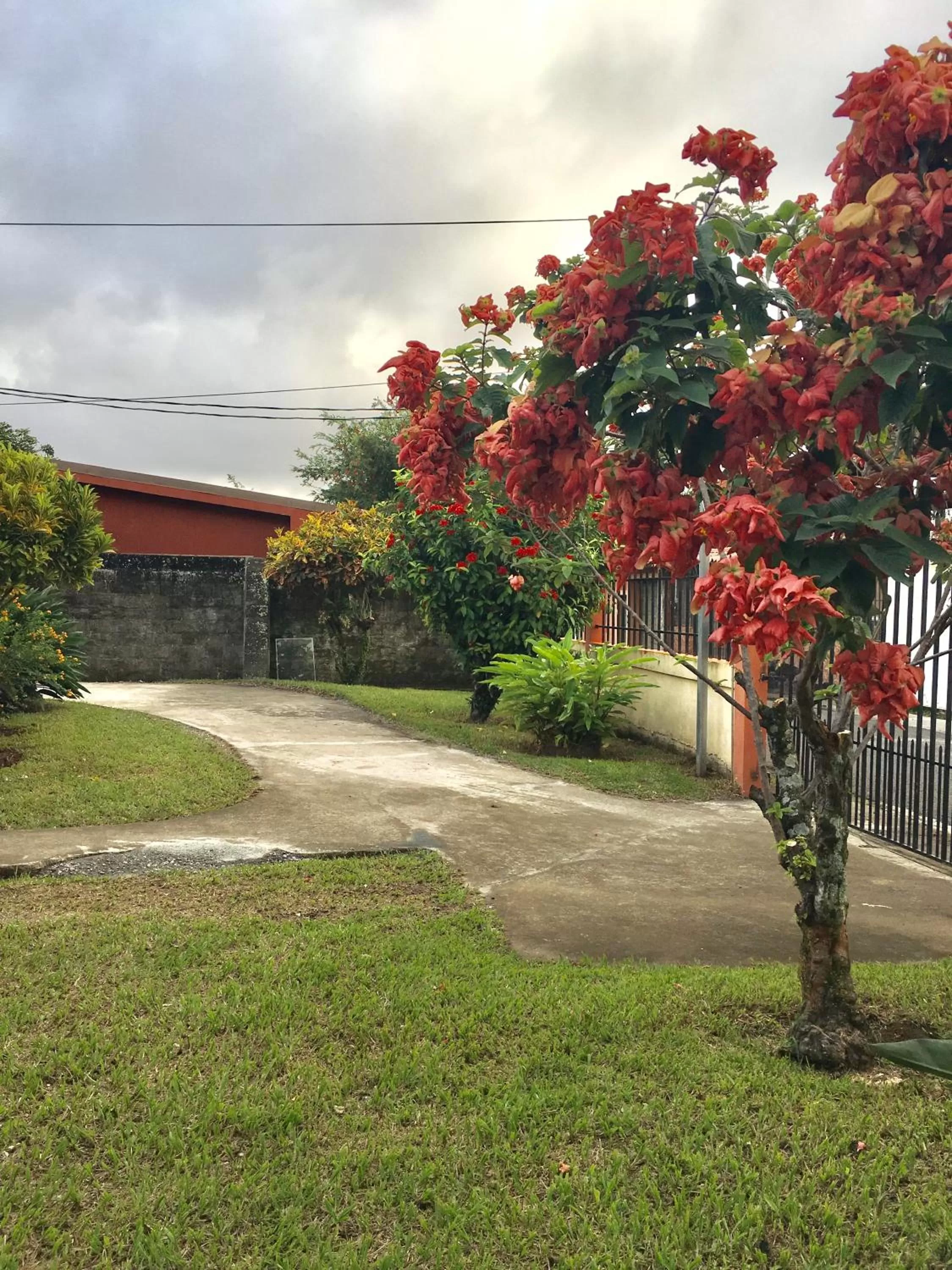 Garden in Hotel Your House
