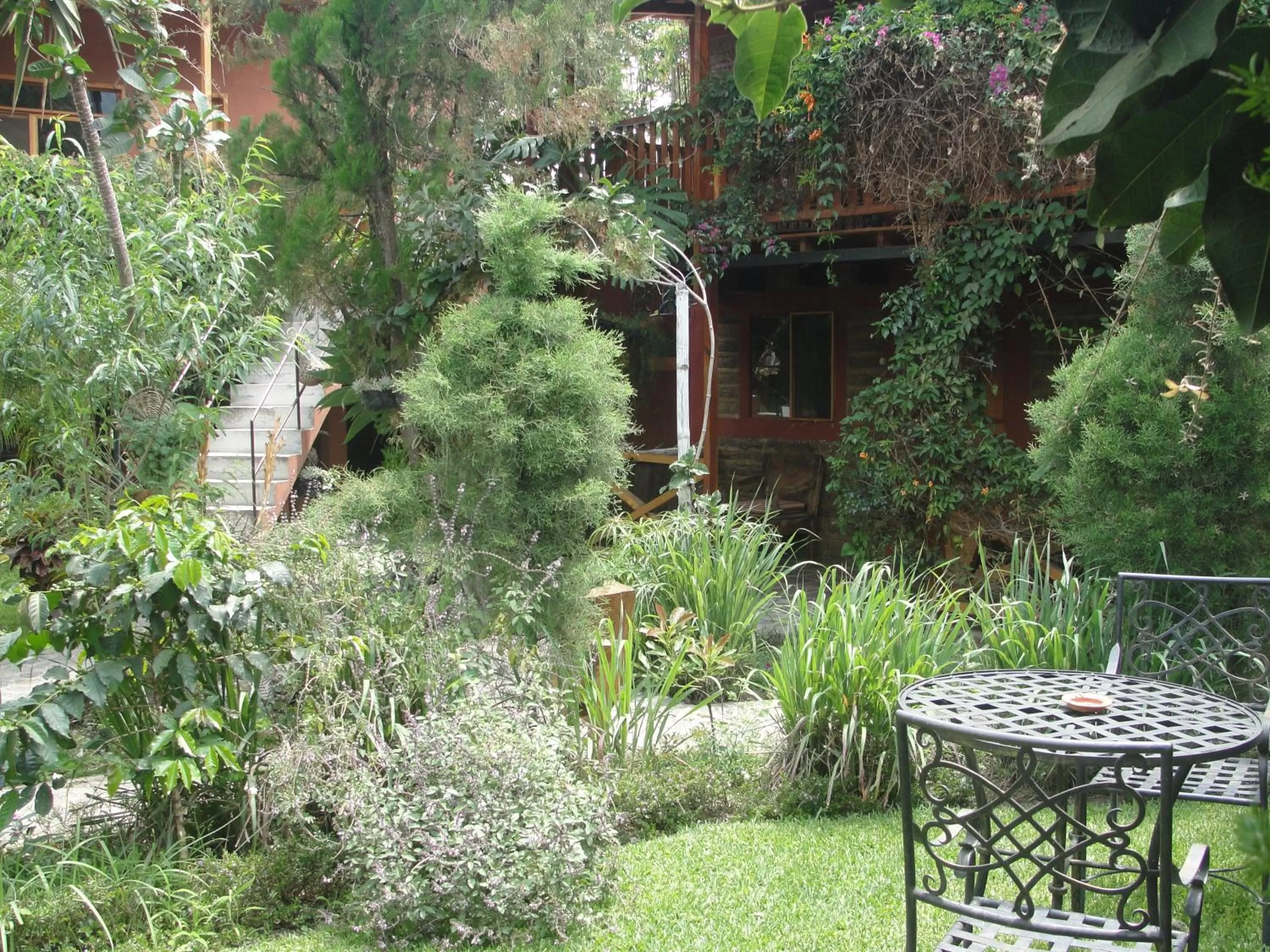Garden in Hotel Utz Jay