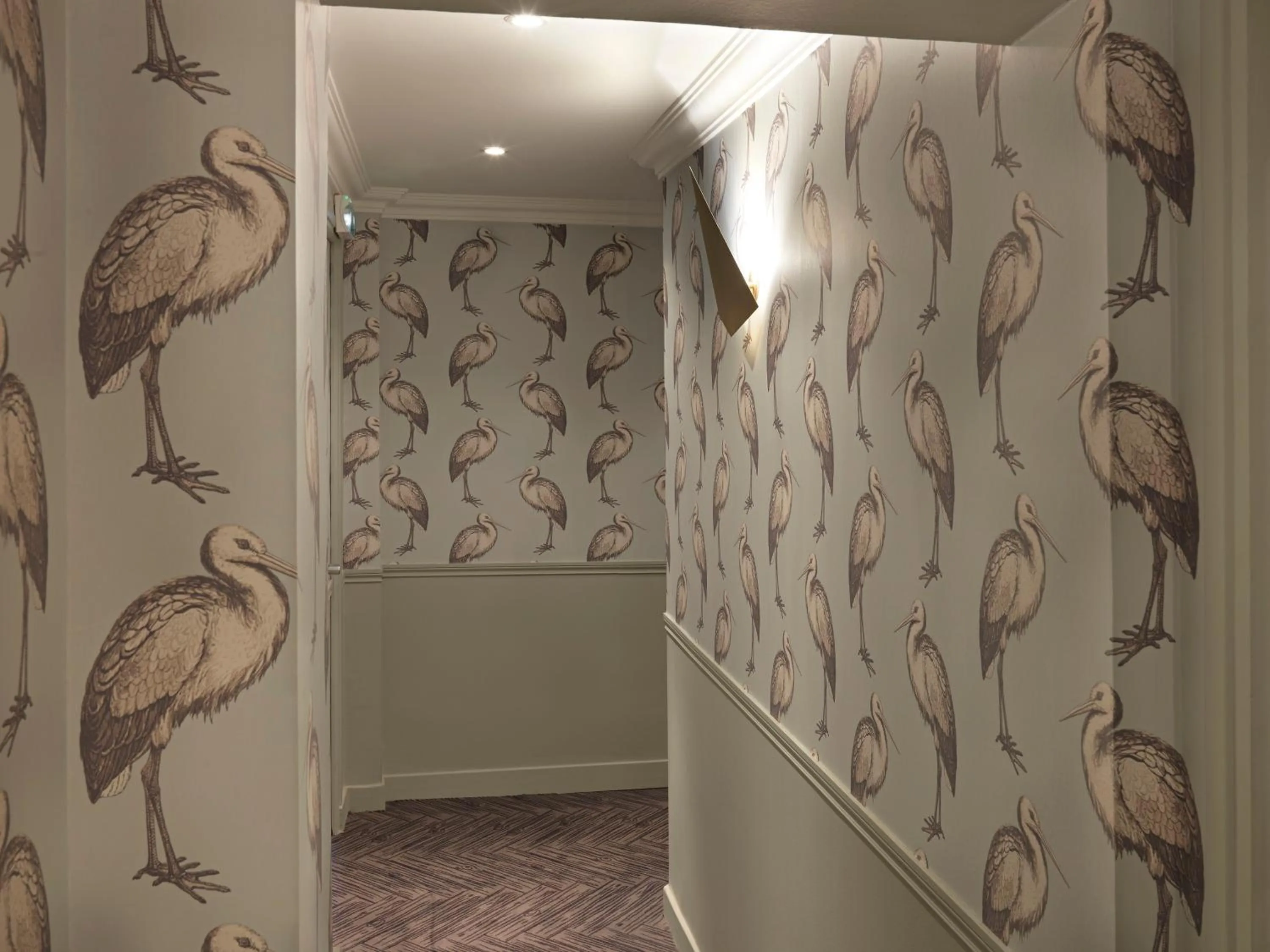 Area and facilities in Hotel Paradis