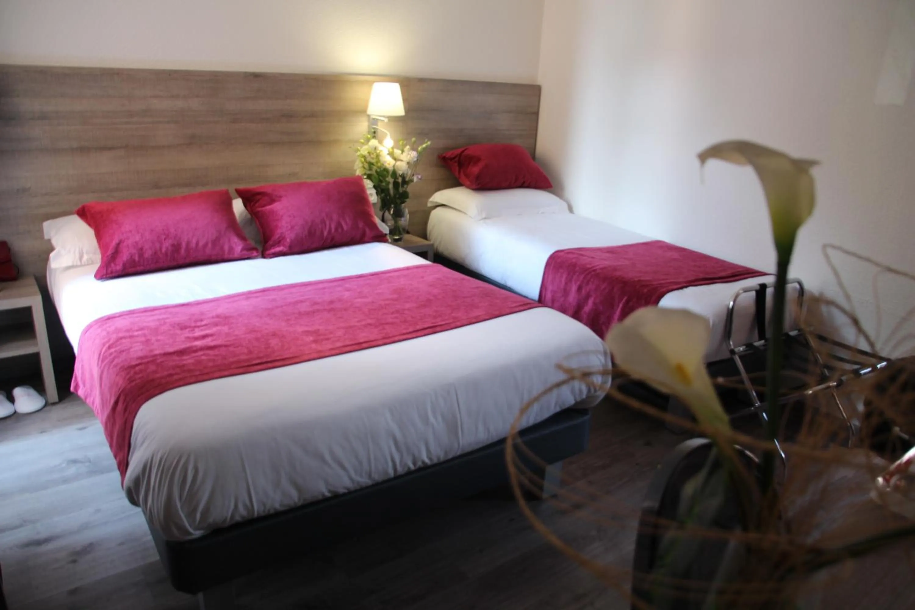 Triple Room (1 Double Bed + 1 Single Bed) in Hotel Menton Riviera
