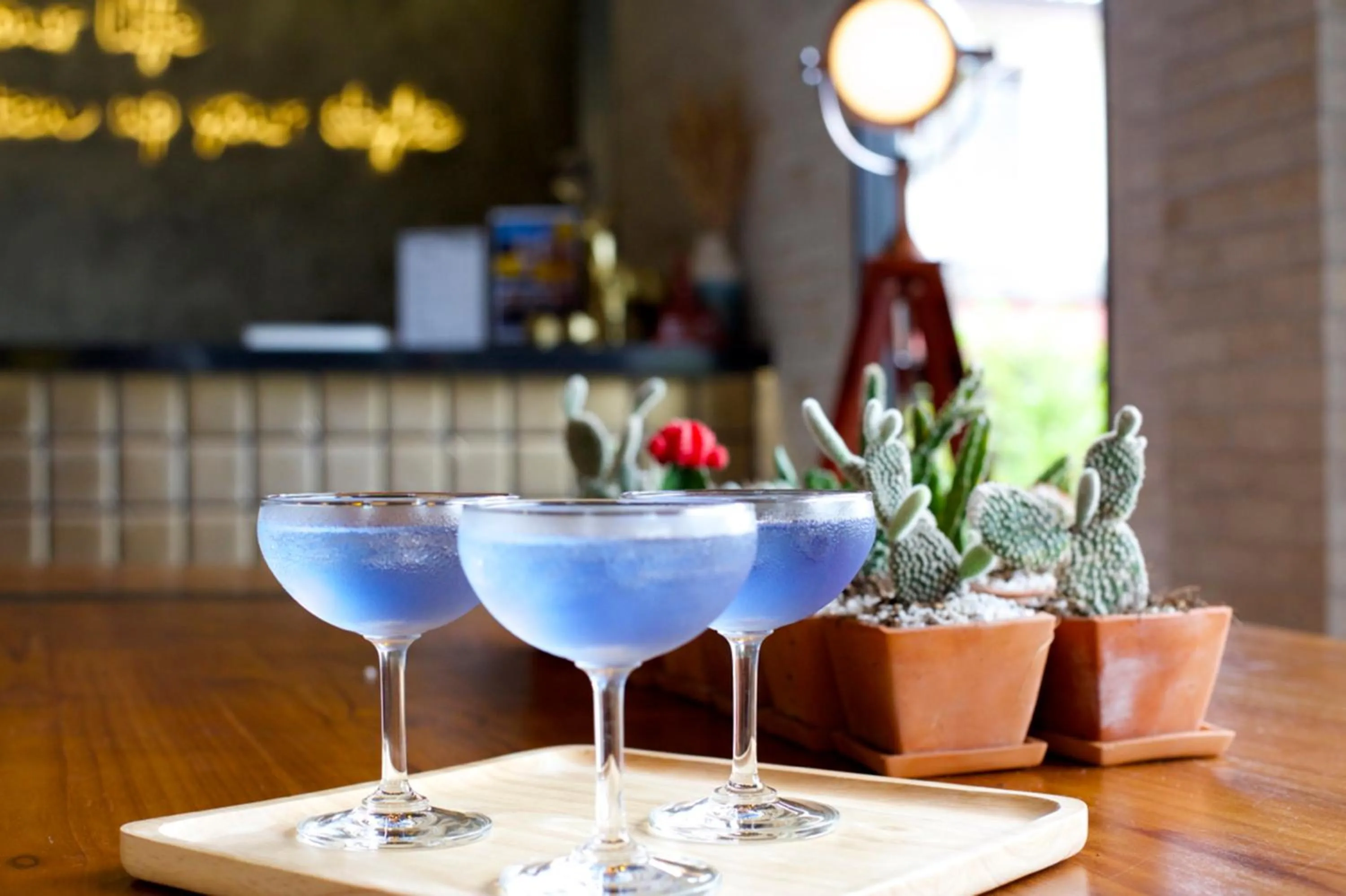 Day in The Plug Hotel