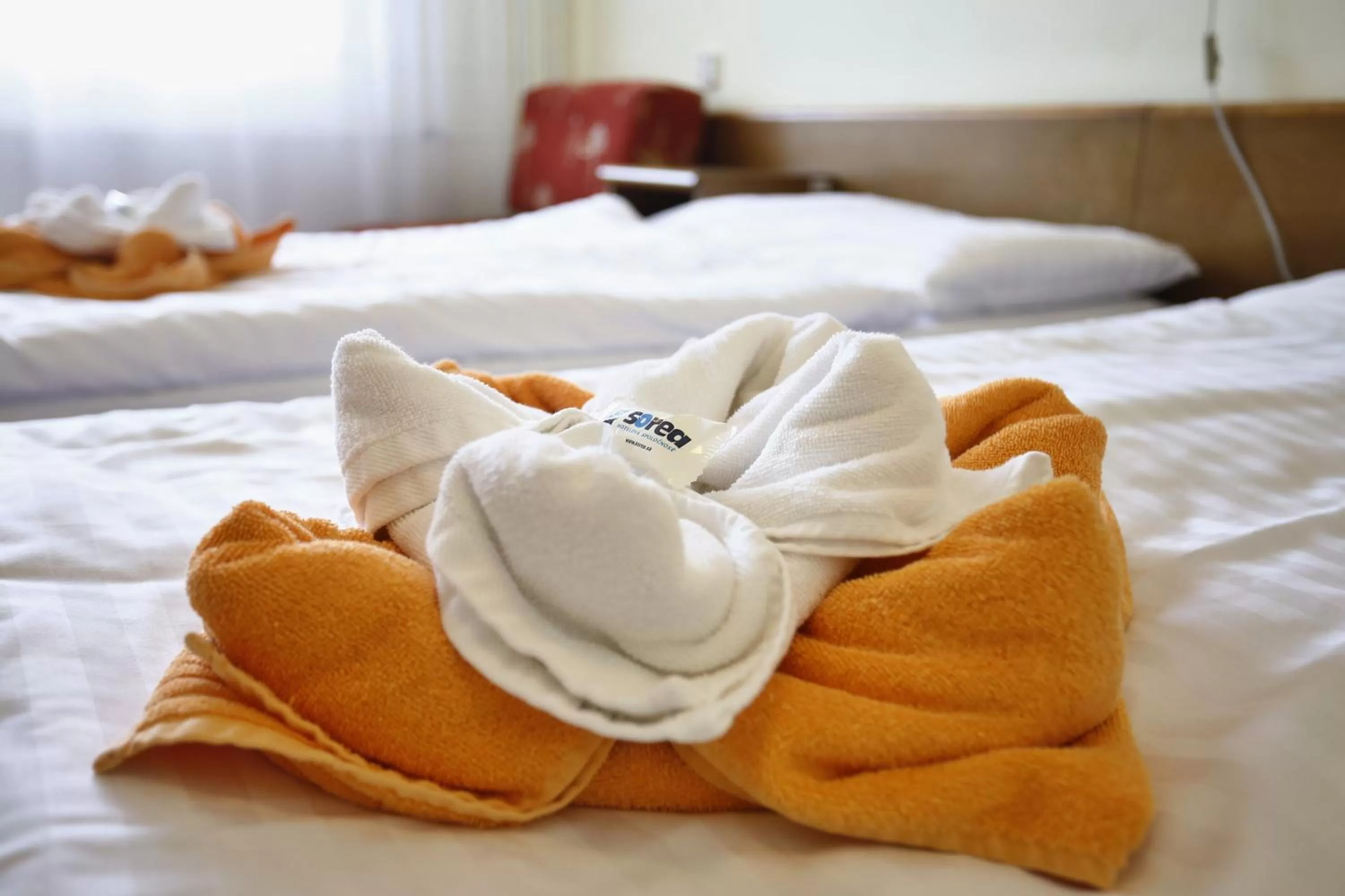 Bed in Hotel SOREA ĽUBOVŇA