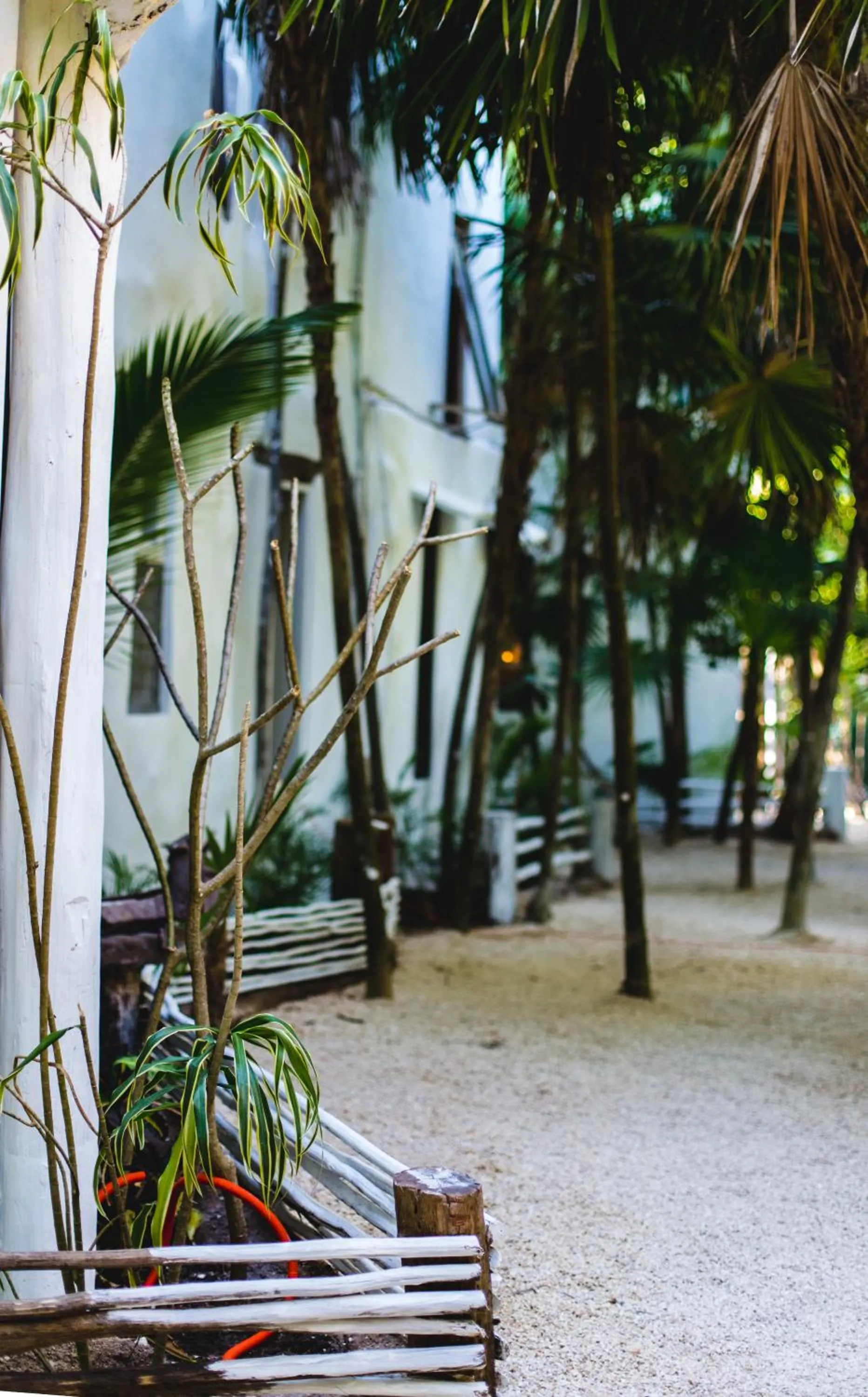 Garden in Casa Ambar Hotel & Boutique Tulum