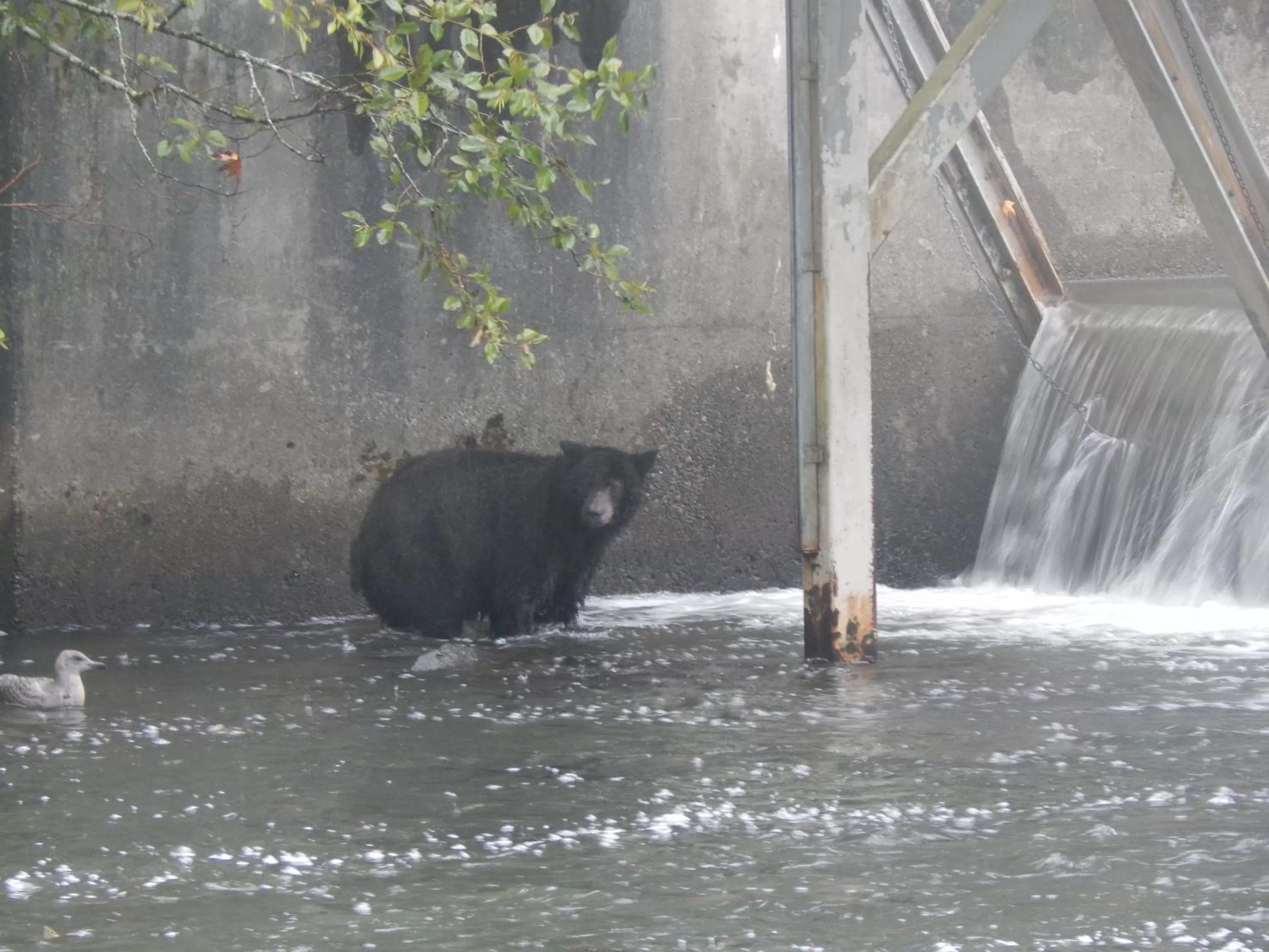 Off site in Money Pennies Bed and Breakfast