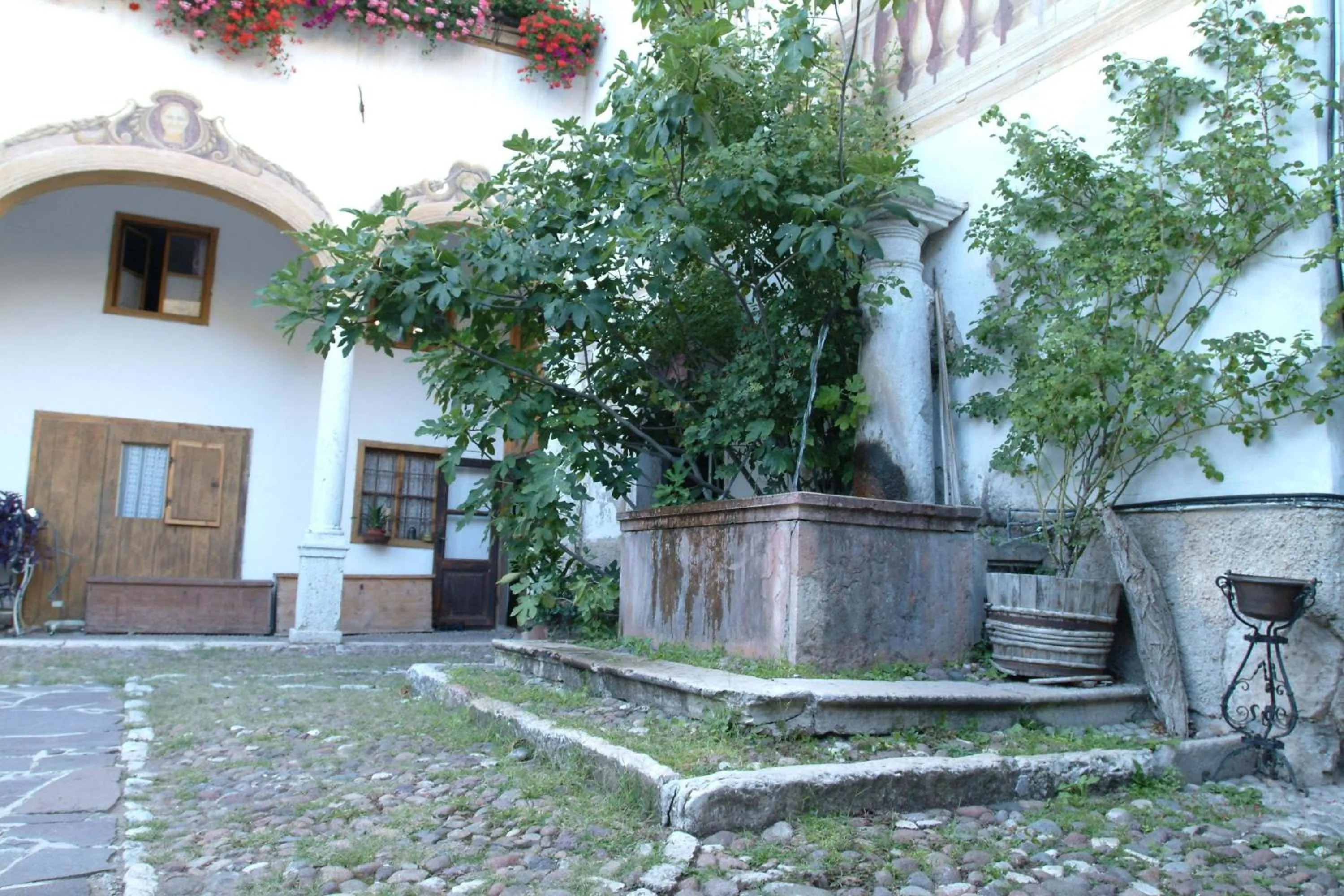 Area and facilities in Villa Bertagnolli - Locanda Del Bel Sorriso