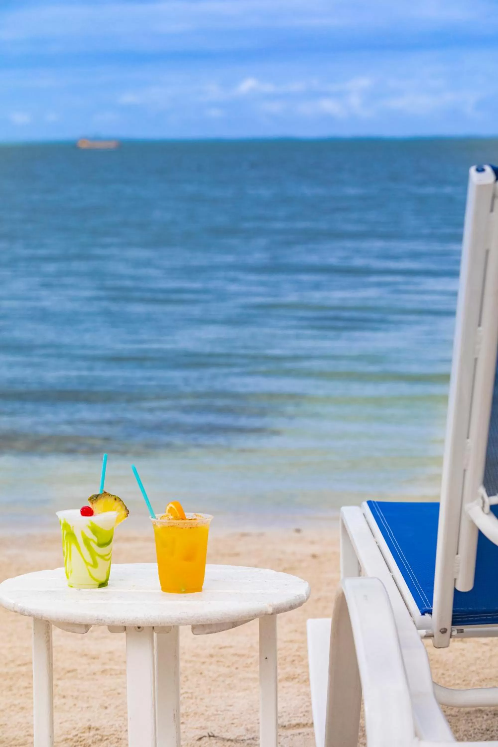 Food and drinks in Reefhouse Resort and Marina